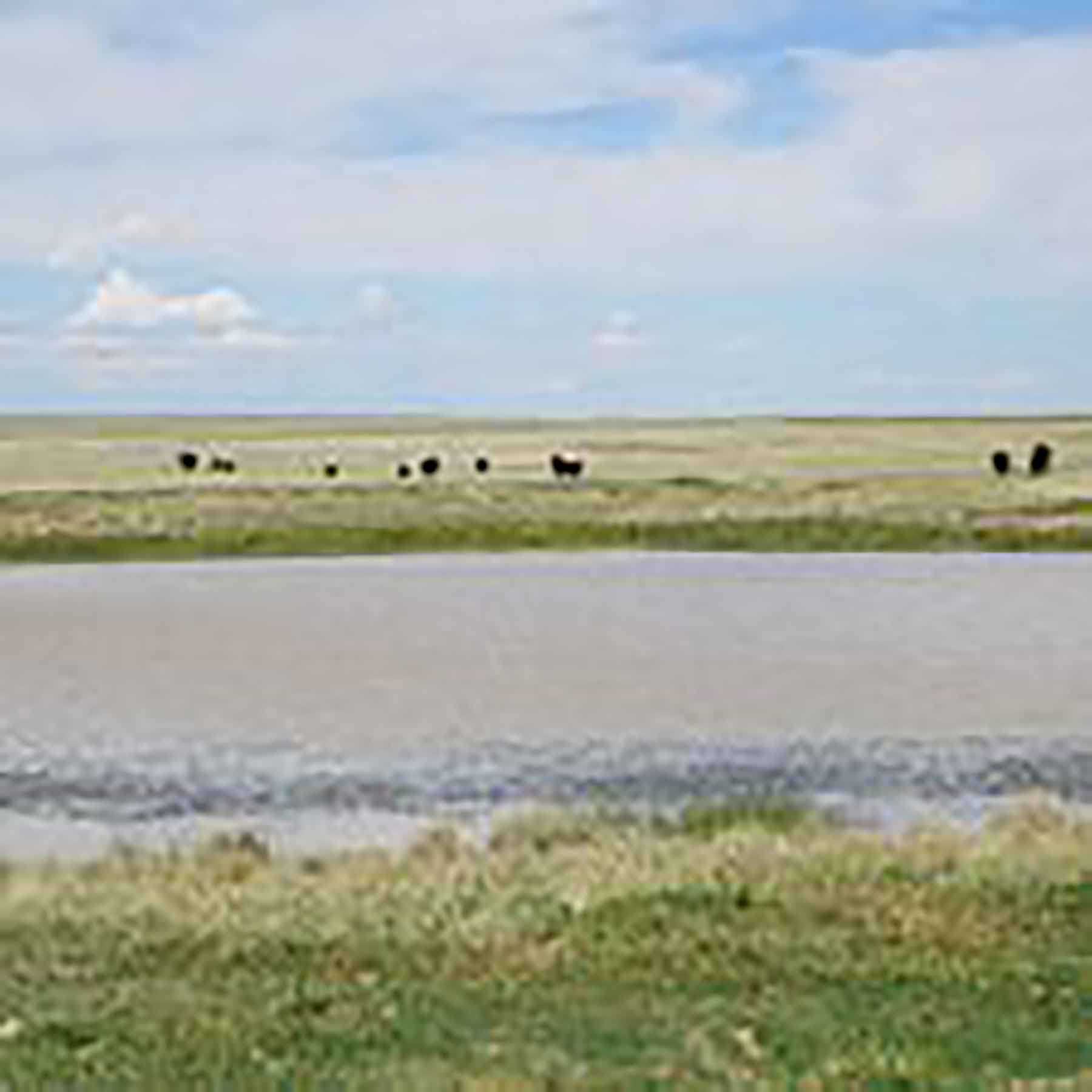 Parker Farm & Ranch property picture 71 of 87