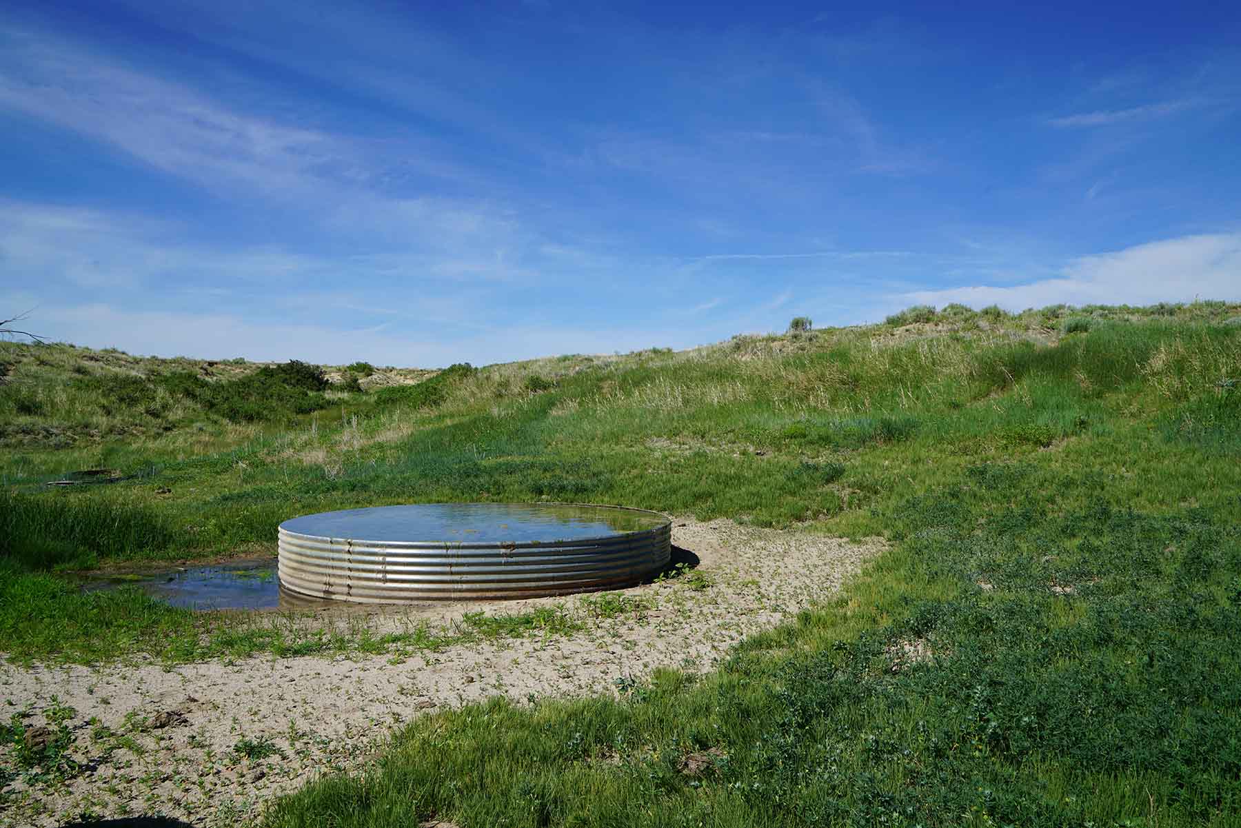 Parker Farm & Ranch property picture 56 of 87