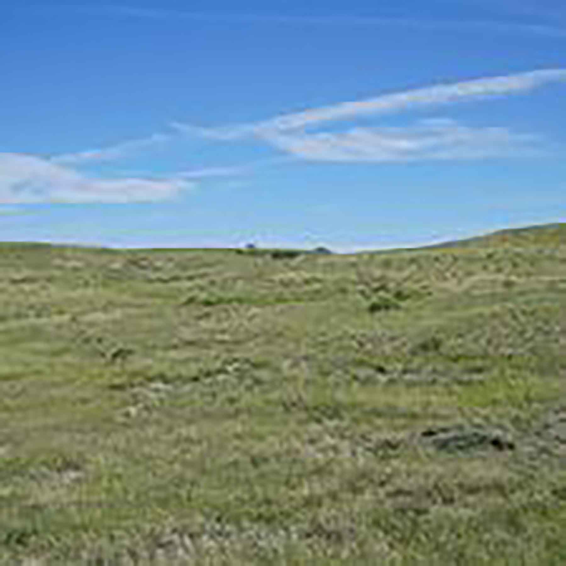 Parker Farm & Ranch property picture 32 of 87