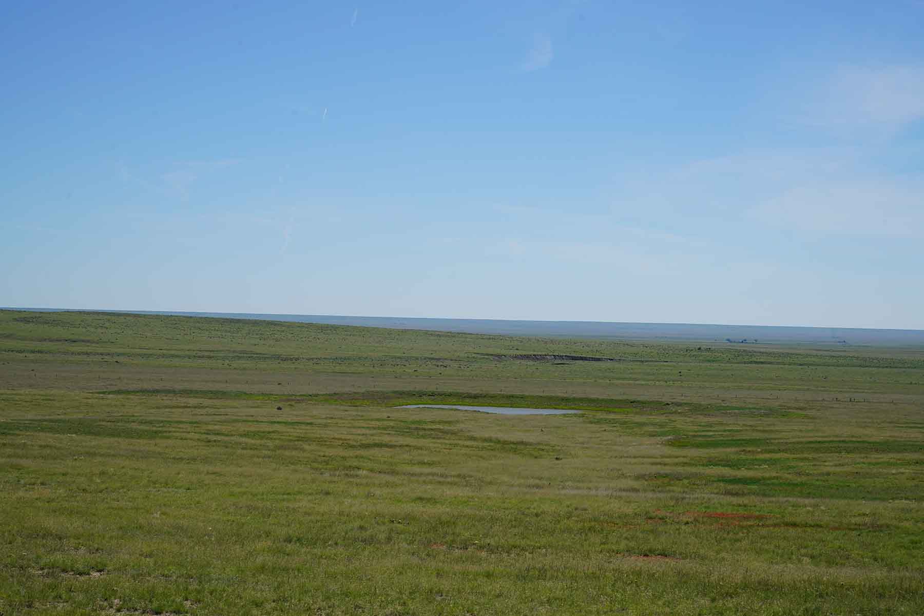 Parker Farm & Ranch property picture 10 of 87