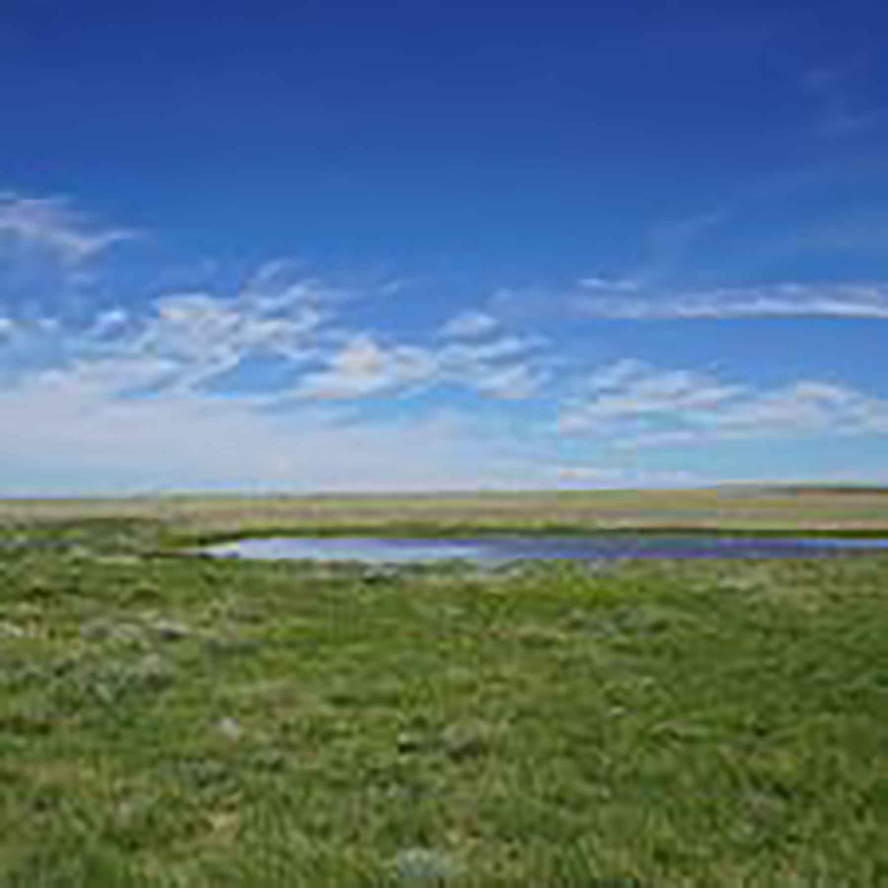 Parker Farm & Ranch property picture 82 of 87