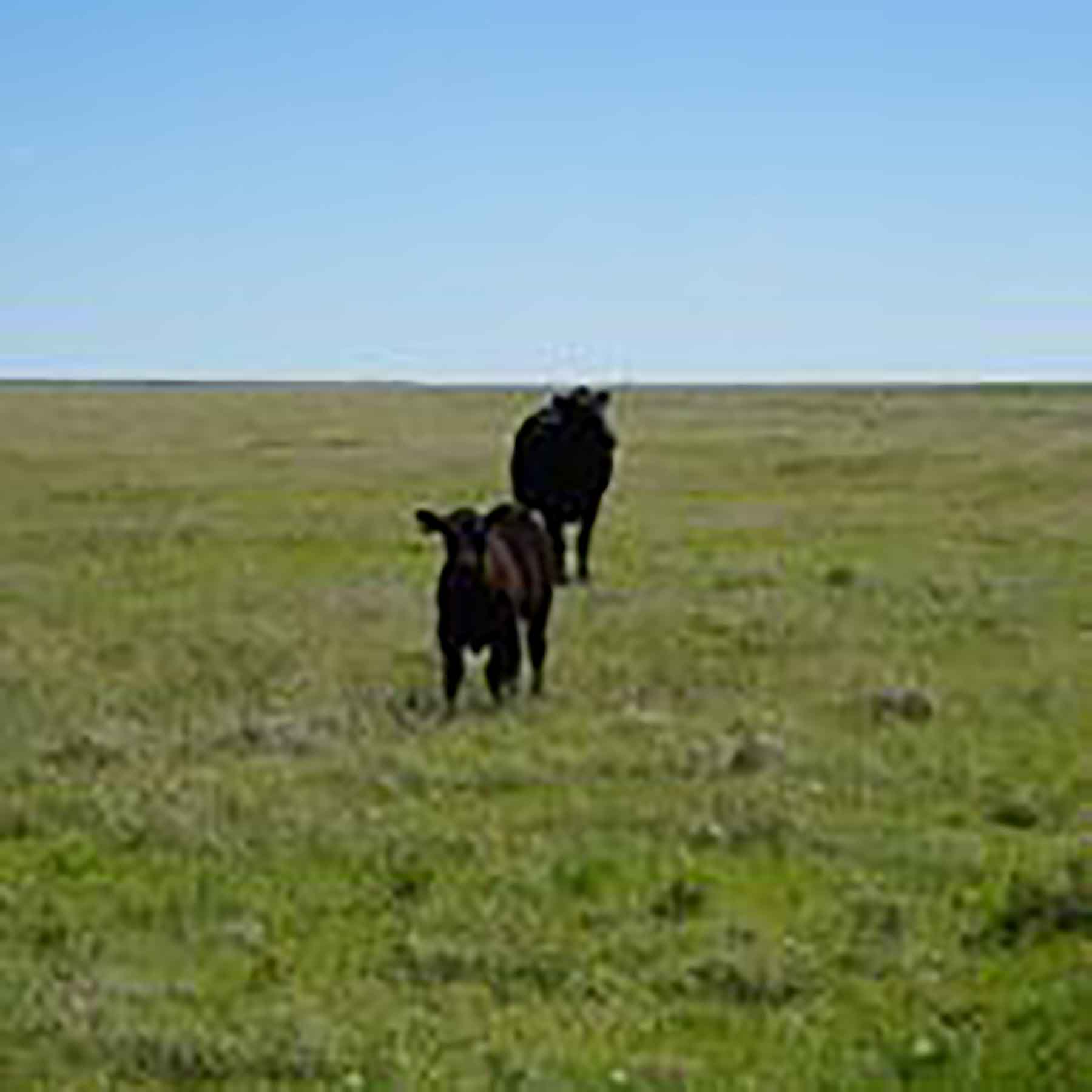 Parker Farm & Ranch property picture 39 of 87