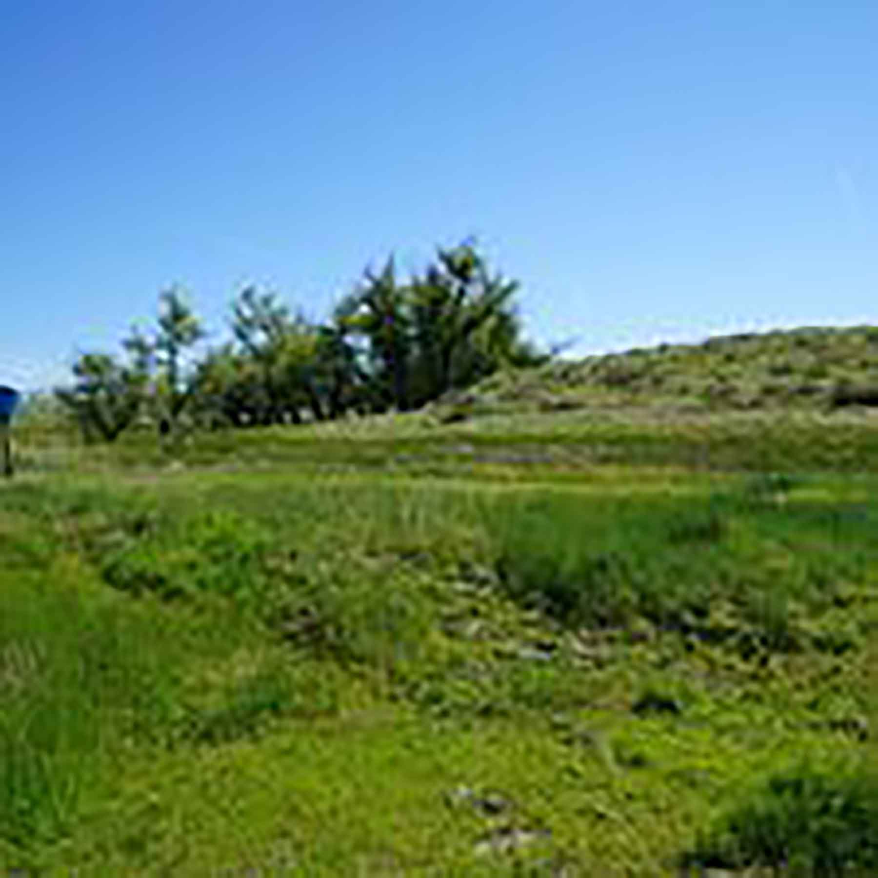 Parker Farm & Ranch property picture 30 of 87