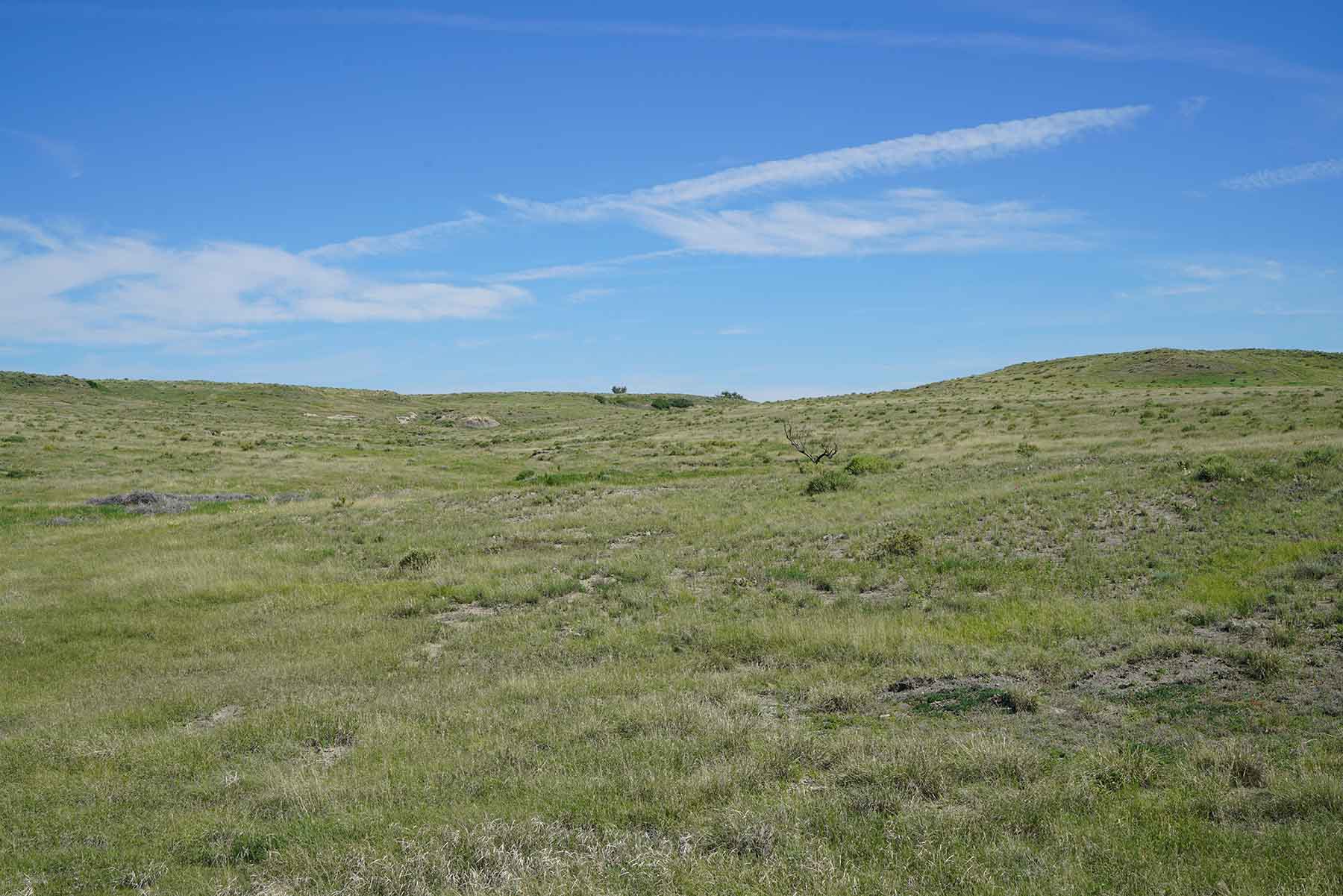 Parker Farm & Ranch property picture 52 of 87