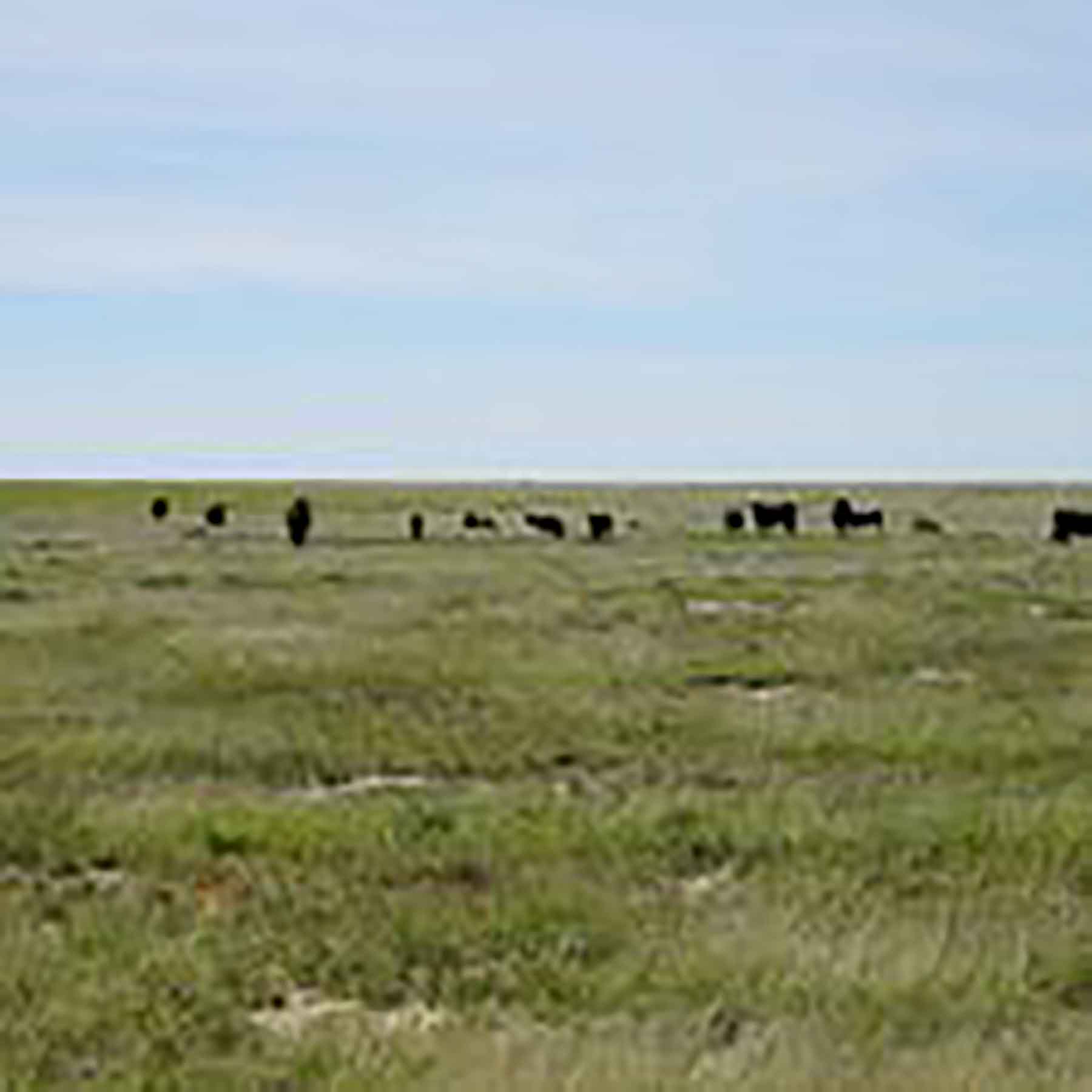 Parker Farm & Ranch property picture 41 of 87