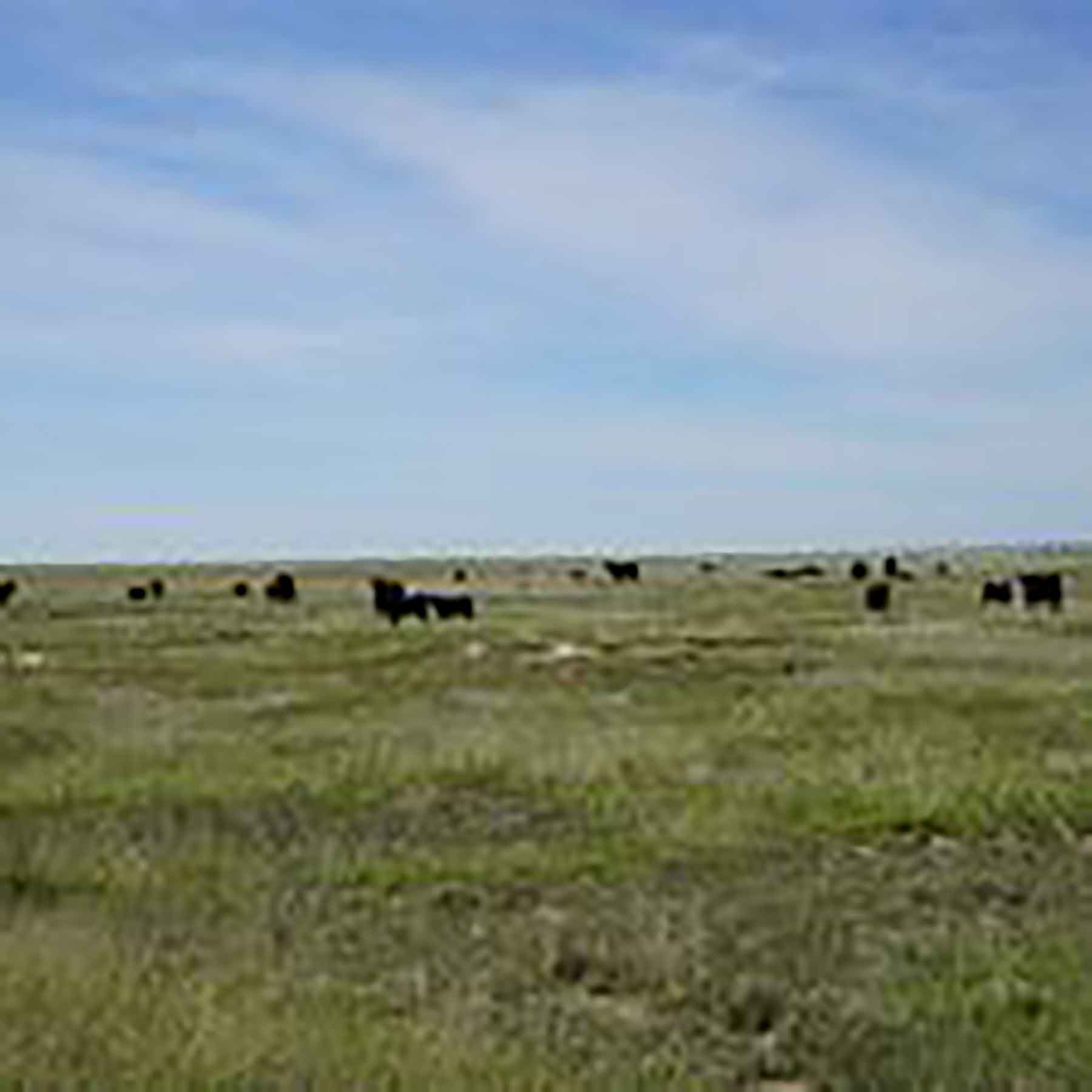 Parker Farm & Ranch property picture 83 of 87