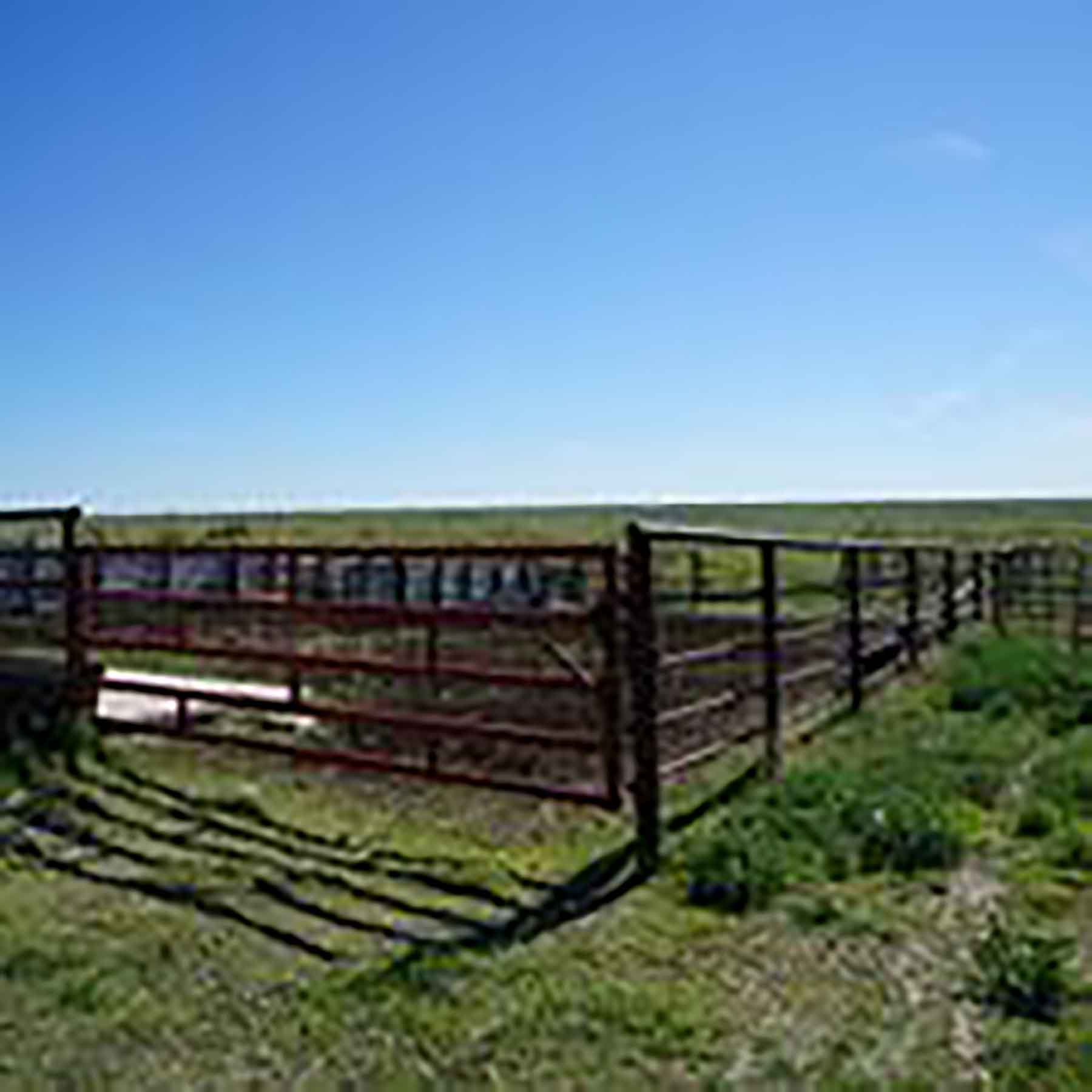 Parker Farm & Ranch property picture 24 of 87