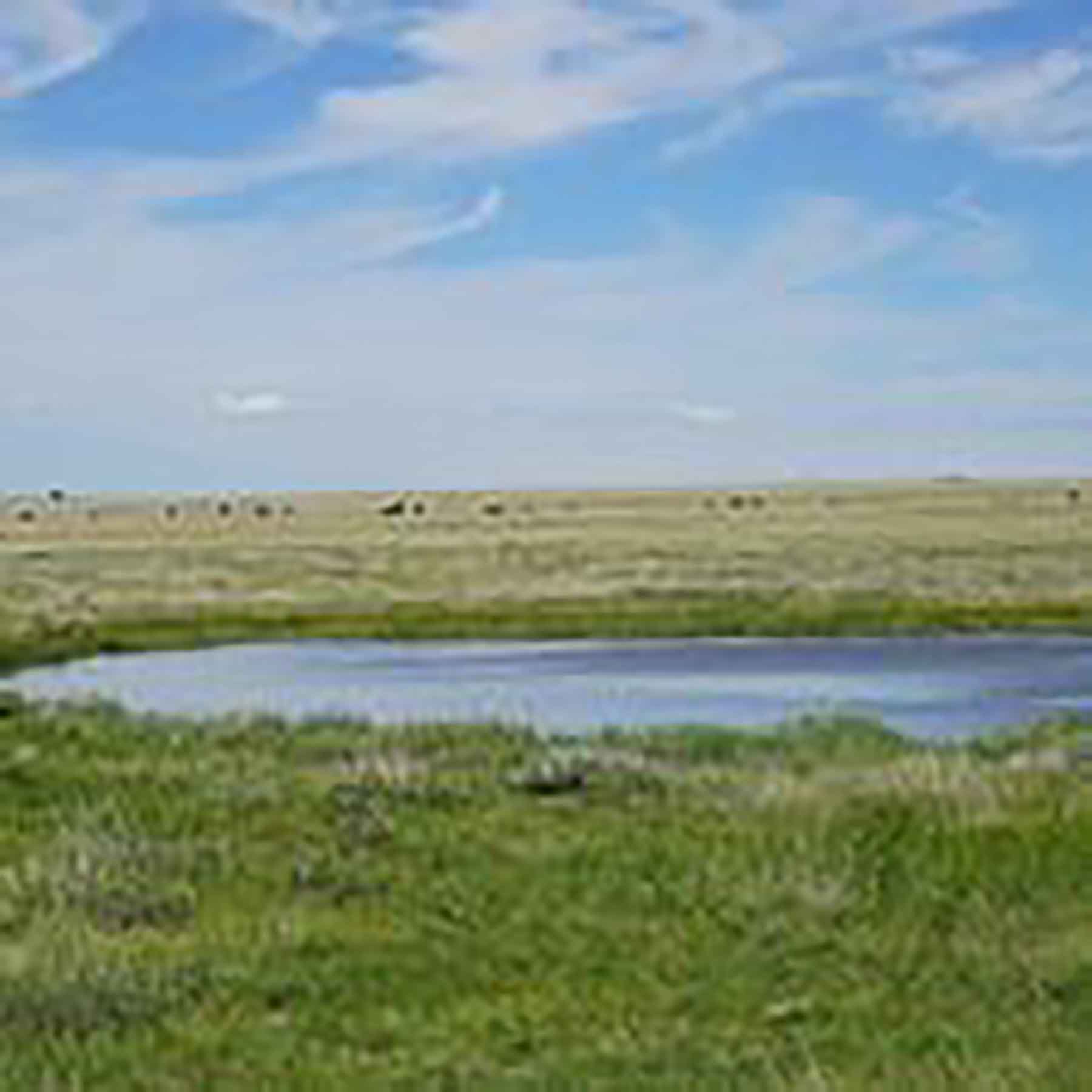 Parker Farm & Ranch property picture 80 of 87