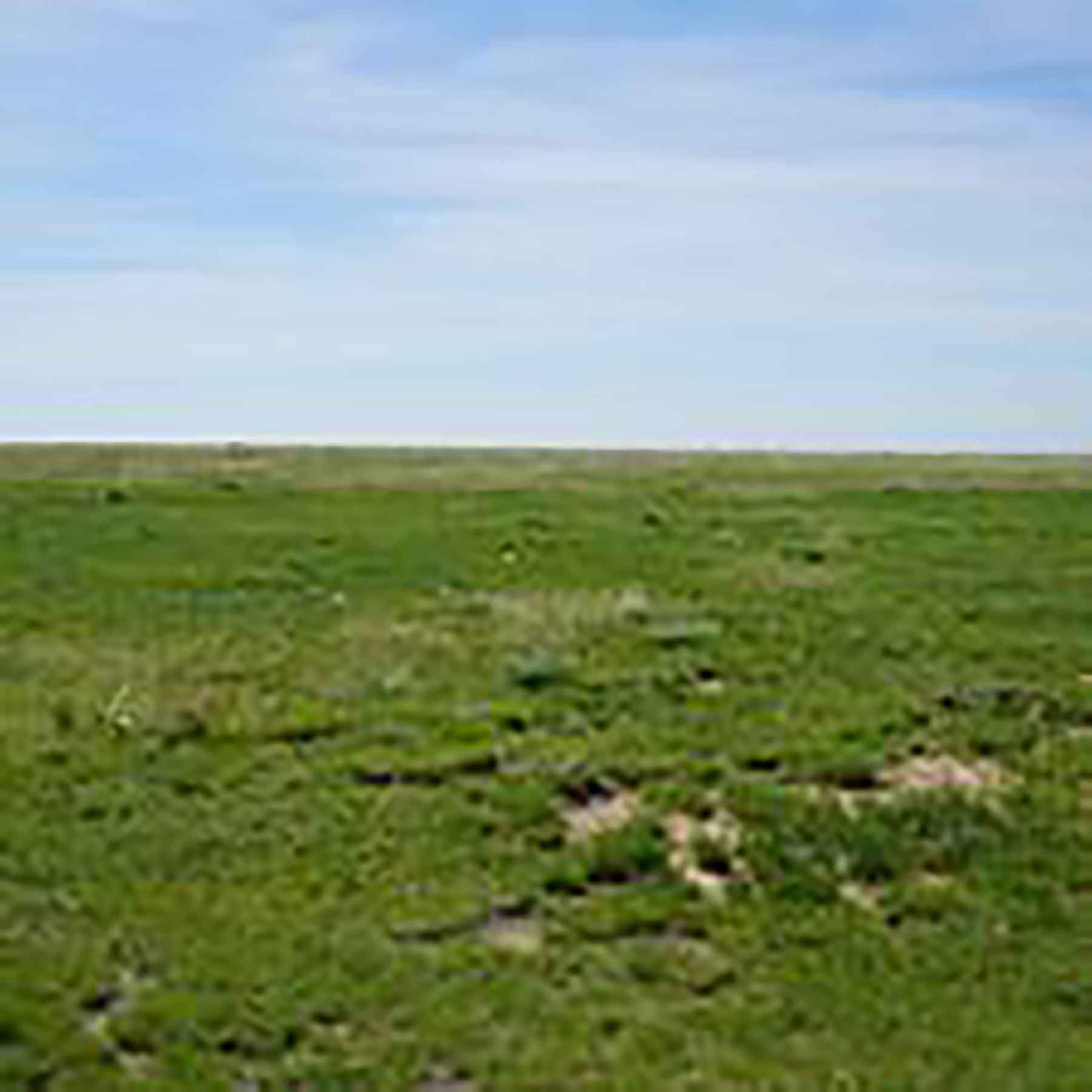 Parker Farm & Ranch property picture 76 of 87