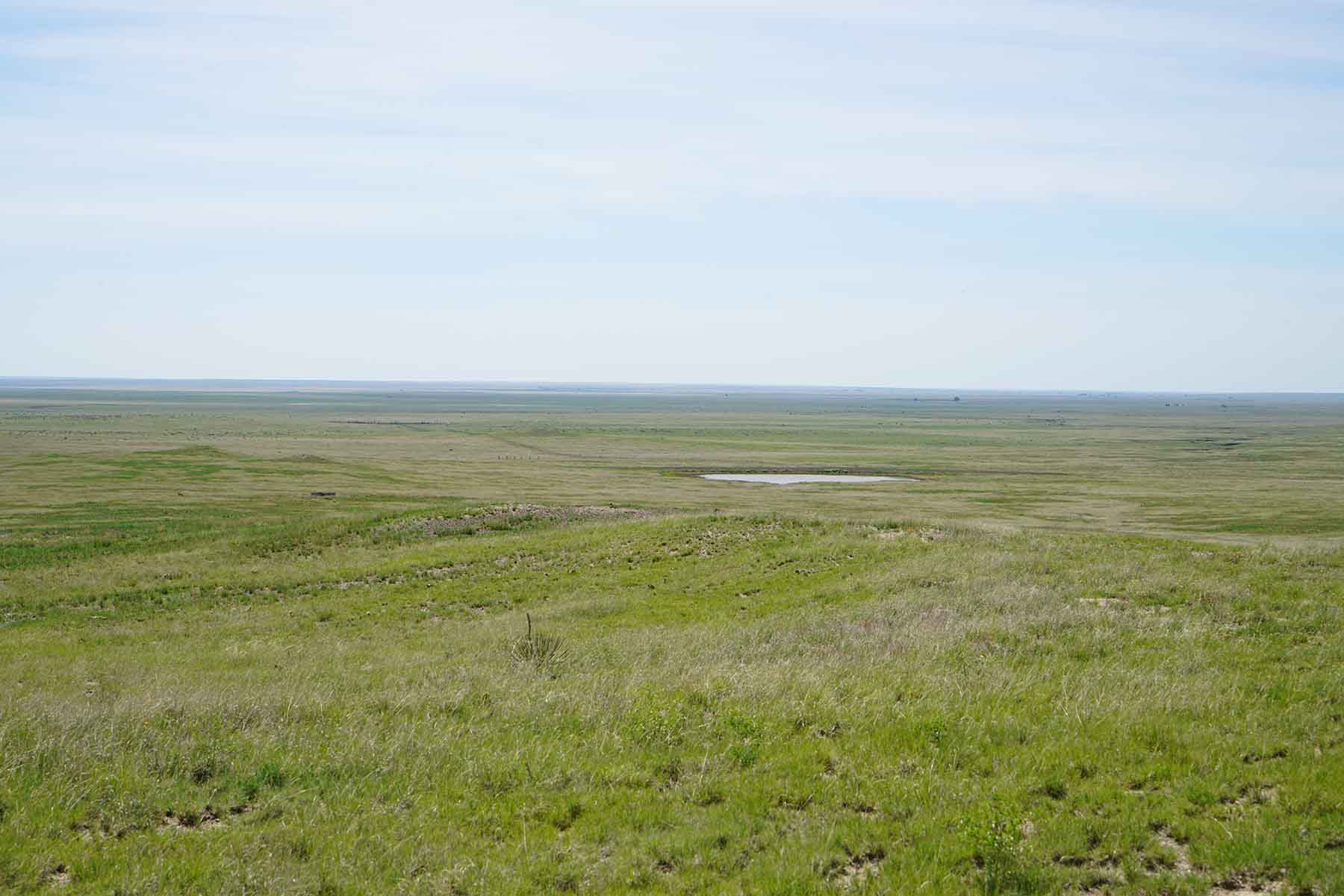 Parker Farm & Ranch property picture 13 of 87