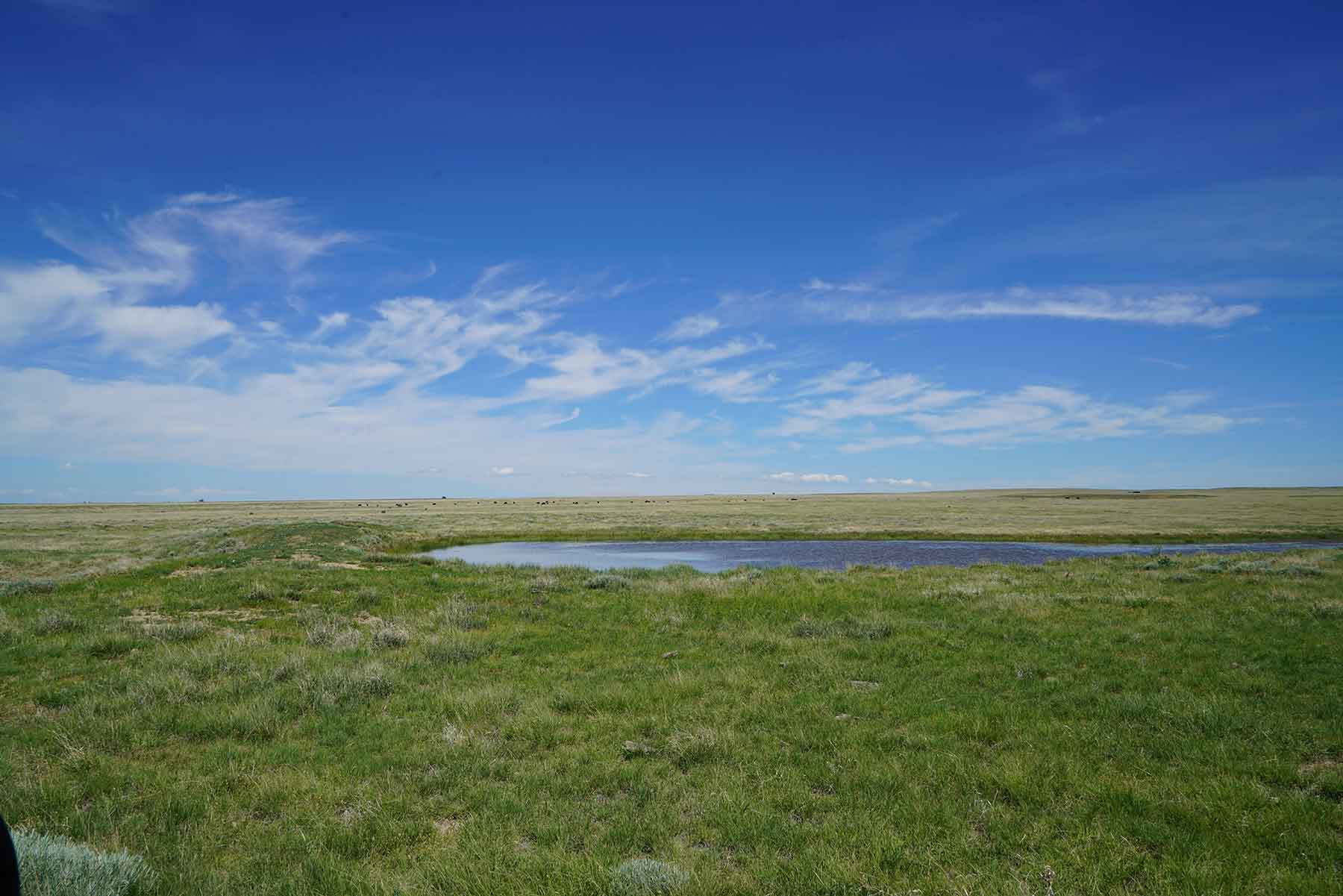 Parker Farm & Ranch property picture 15 of 87