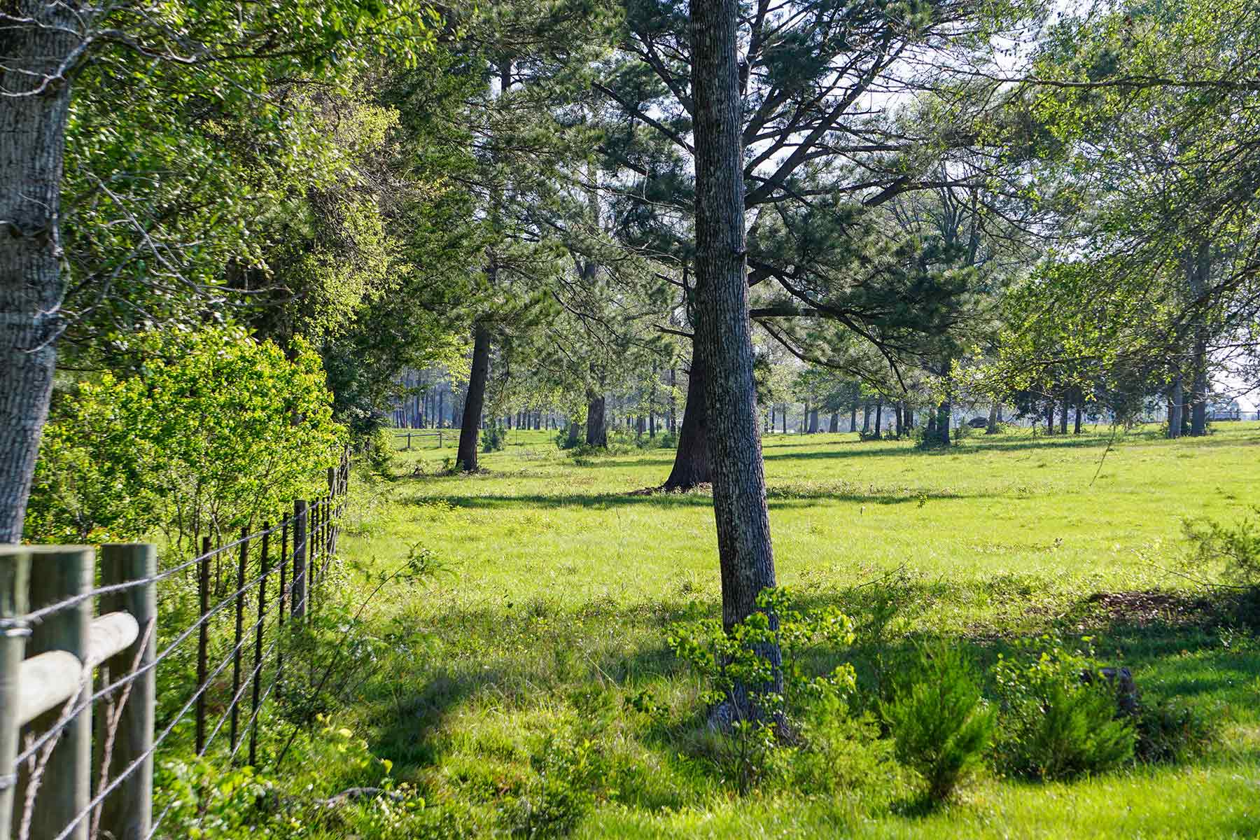 East Tempe Creek Ranch property picture 2 of 22