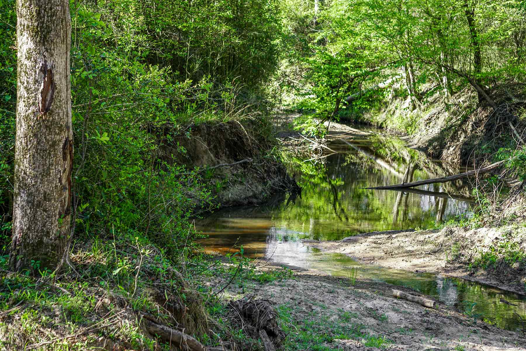 East Tempe Creek Ranch property picture 3 of 22