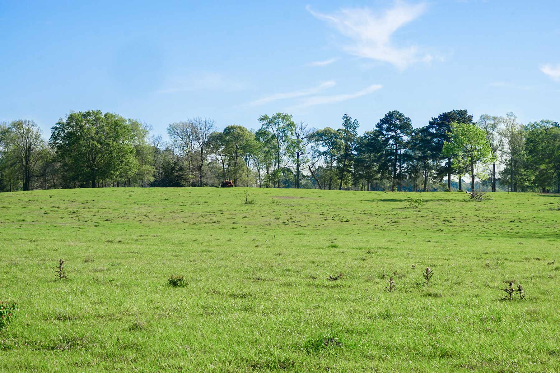 East Tempe Creek Ranch property picture 7 of 22
