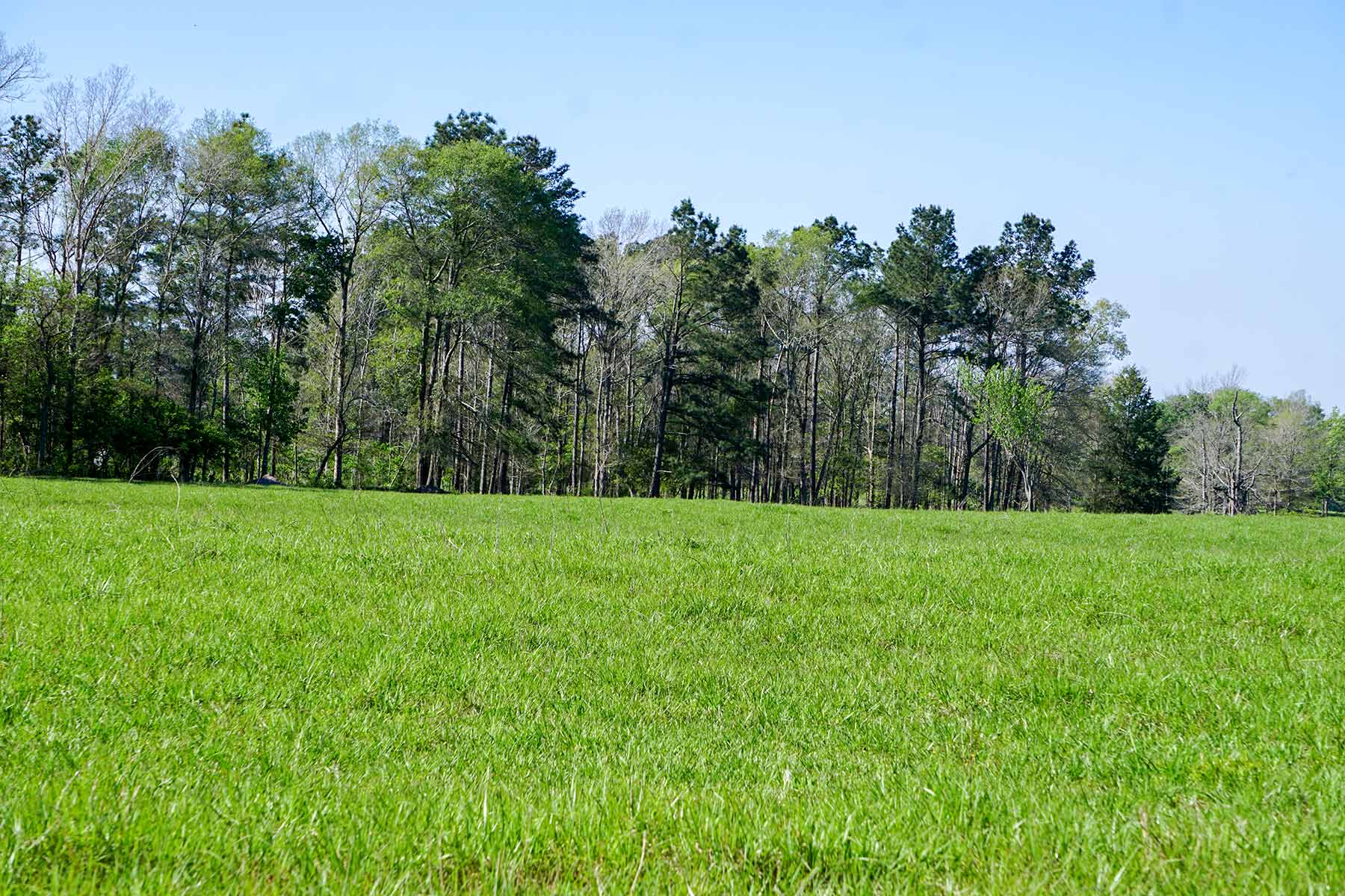 East Tempe Creek Ranch property picture 8 of 22