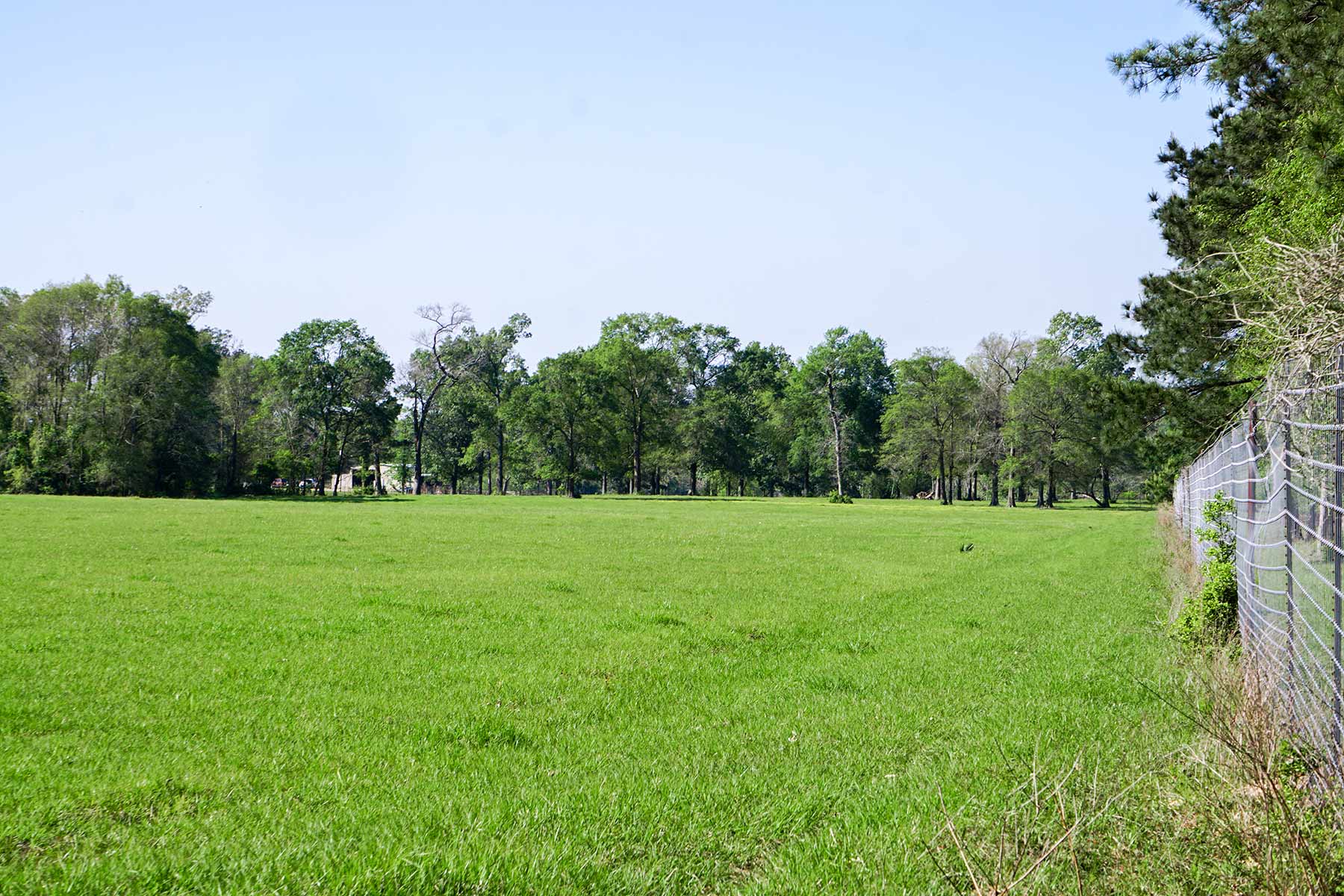 East Tempe Creek Ranch property picture 9 of 22