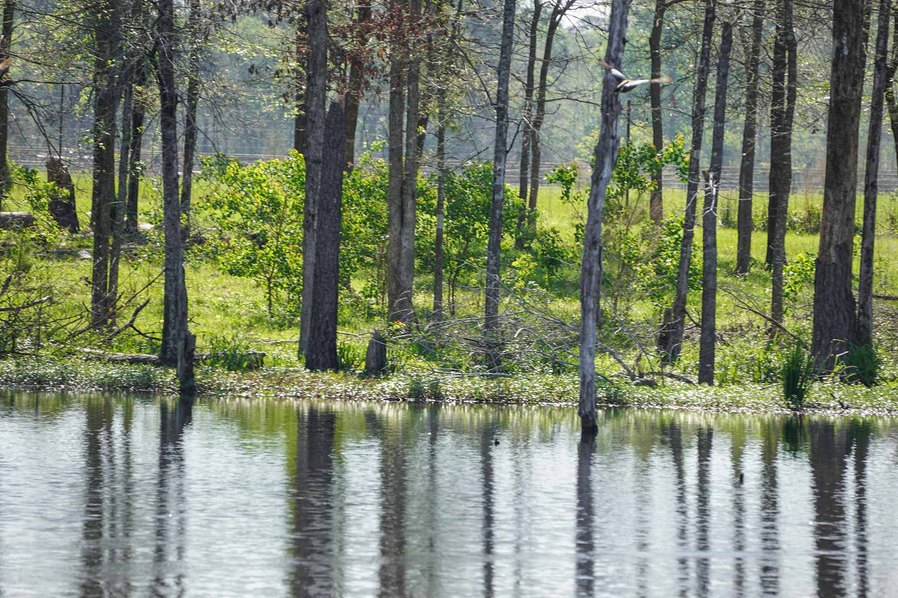East Tempe Creek Ranch property picture 11 of 22