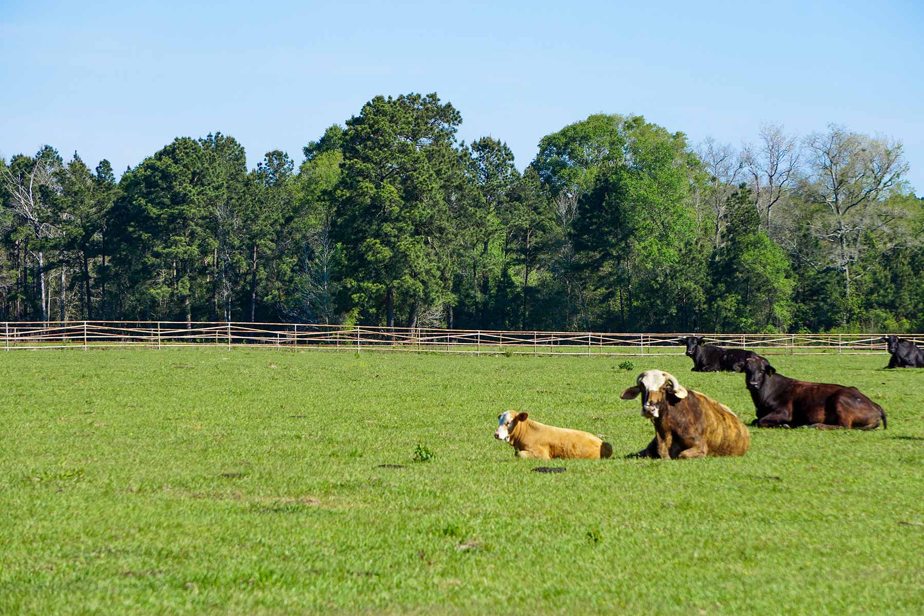 East Tempe Creek Ranch property picture 13 of 22