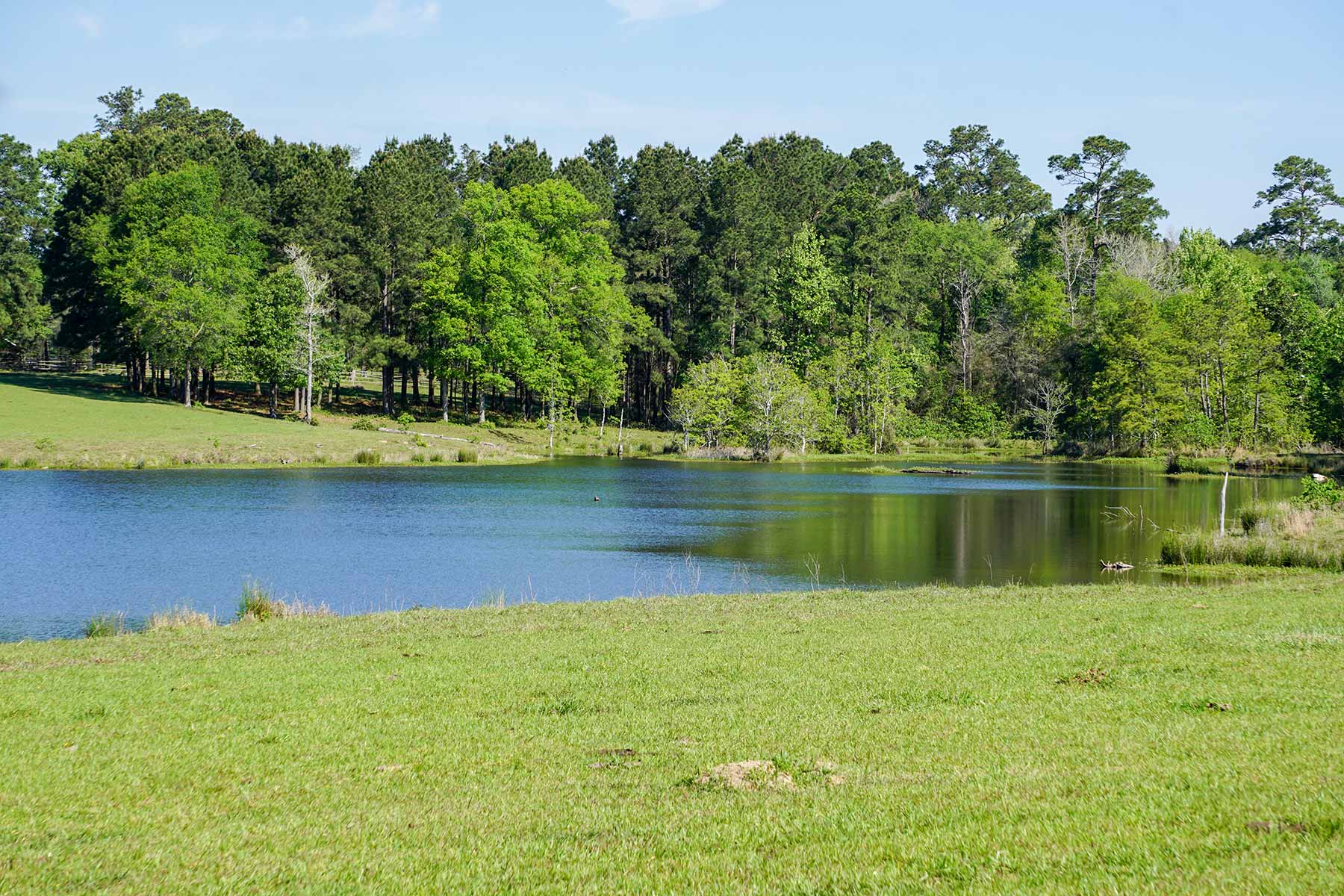 East Tempe Creek Ranch property picture 14 of 22