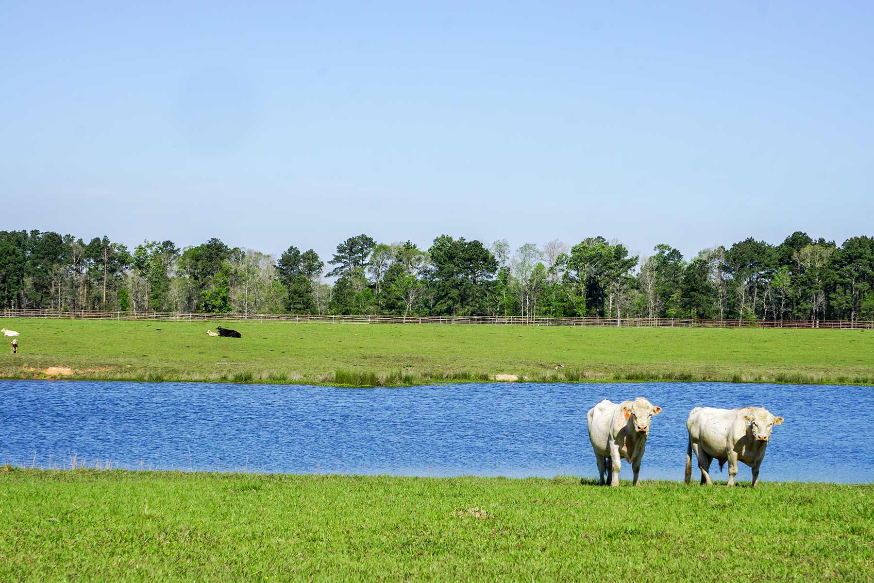 East Tempe Creek Ranch property picture 15 of 22