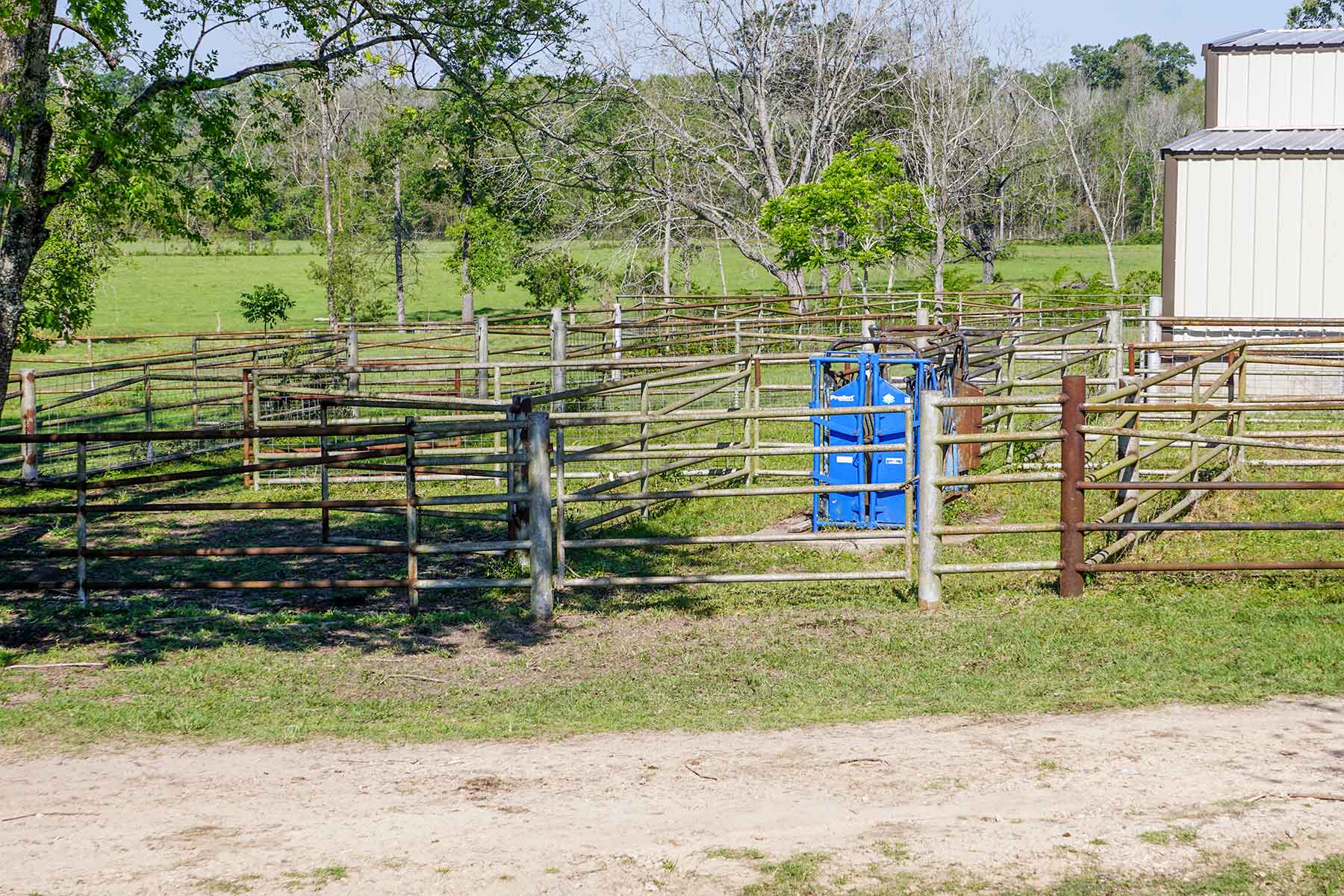 East Tempe Creek Ranch property picture 12 of 22