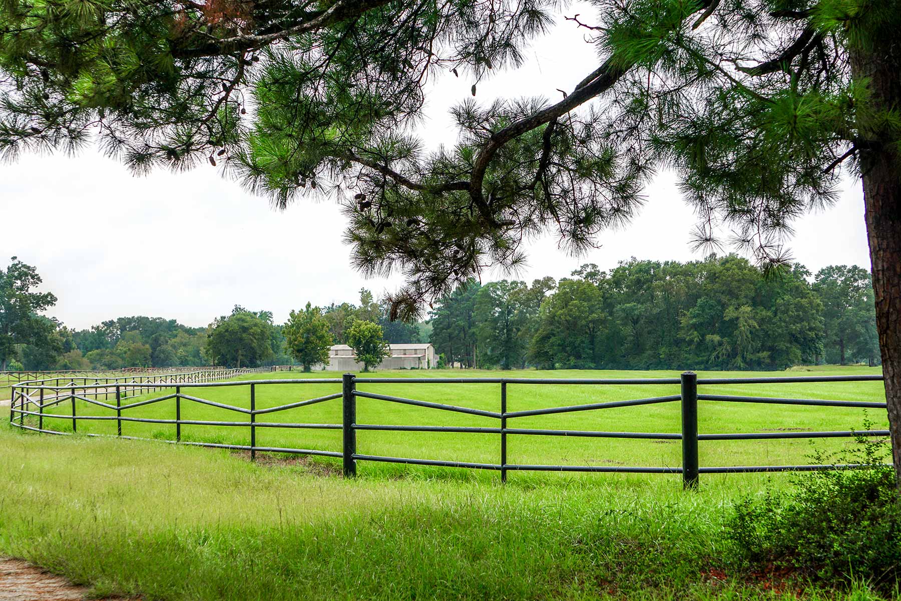 East Tempe Creek Ranch property picture 16 of 22