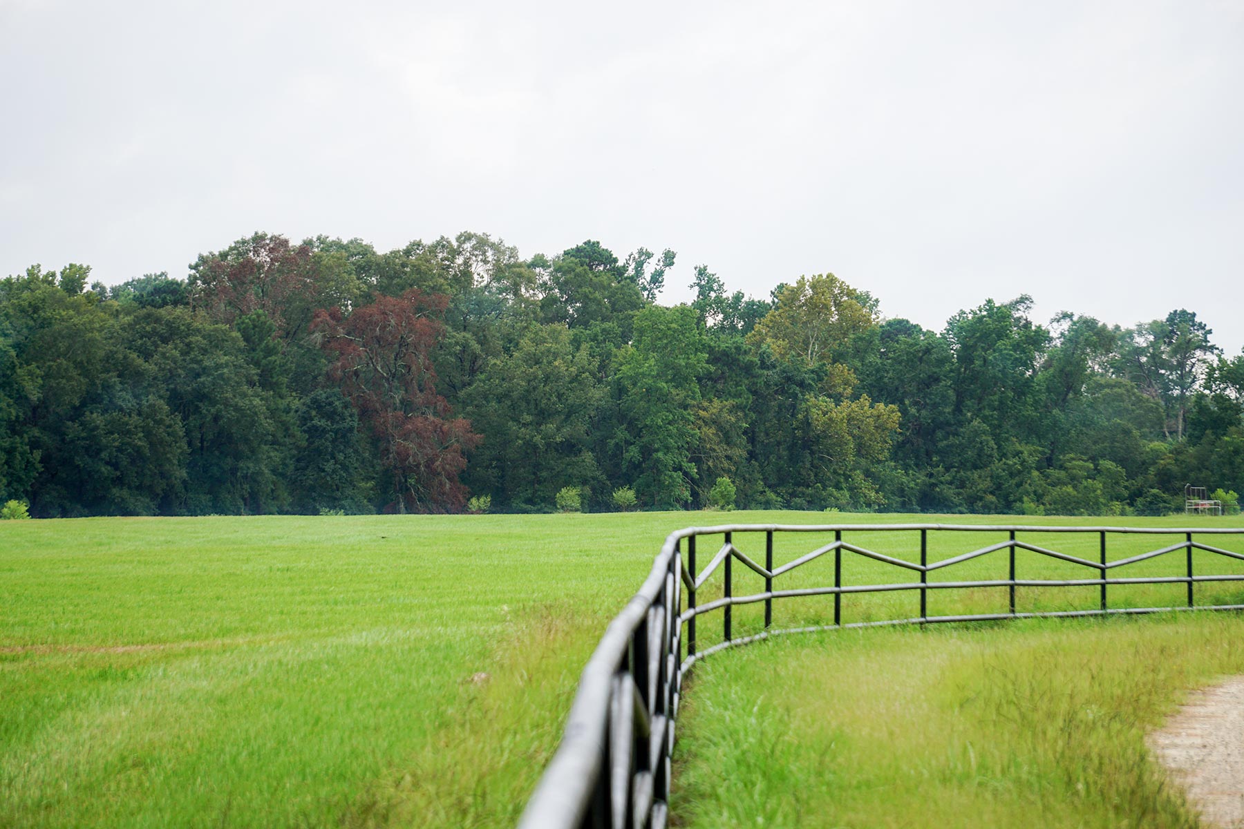East Tempe Creek Ranch property picture 18 of 22