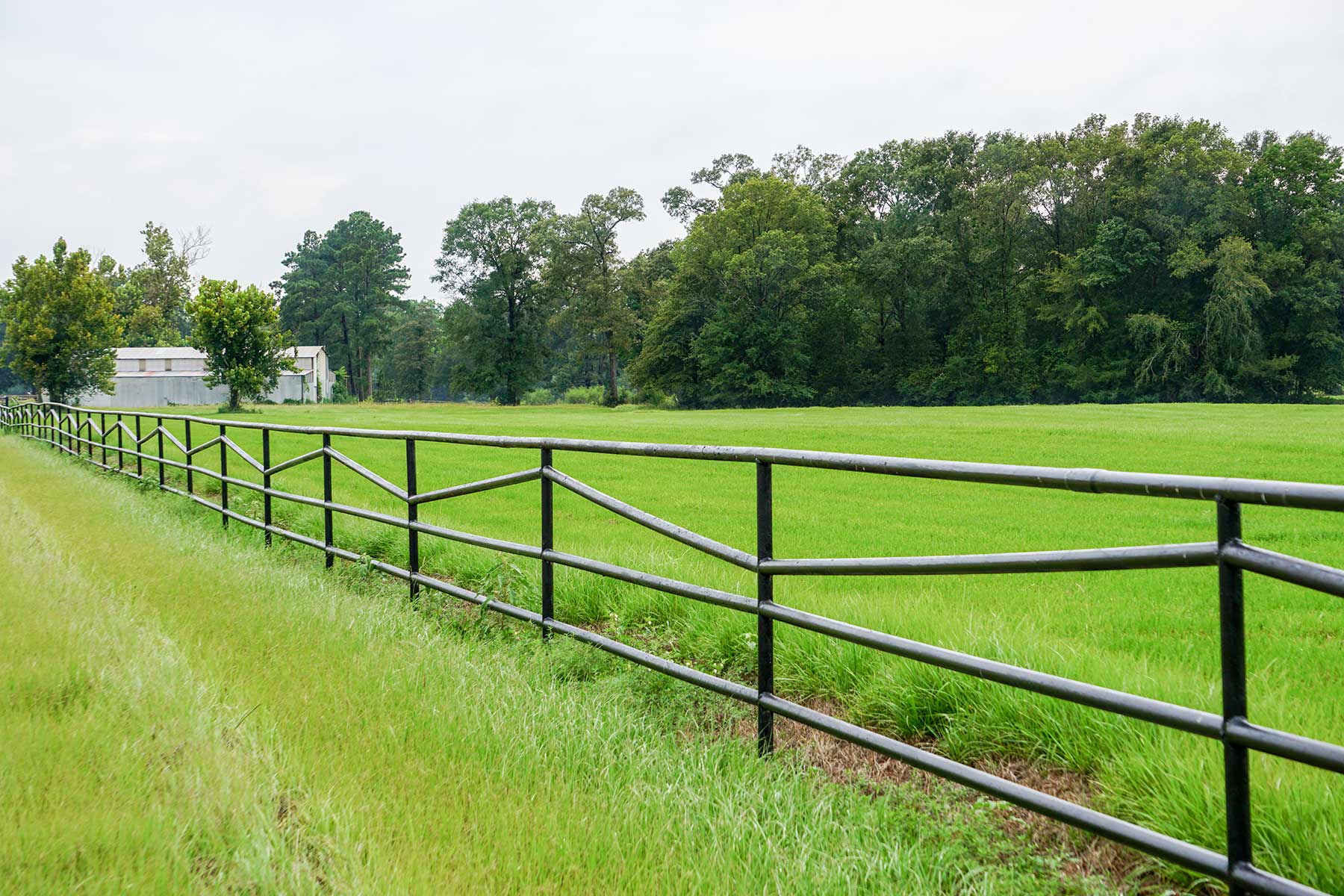 East Tempe Creek Ranch property picture 19 of 22