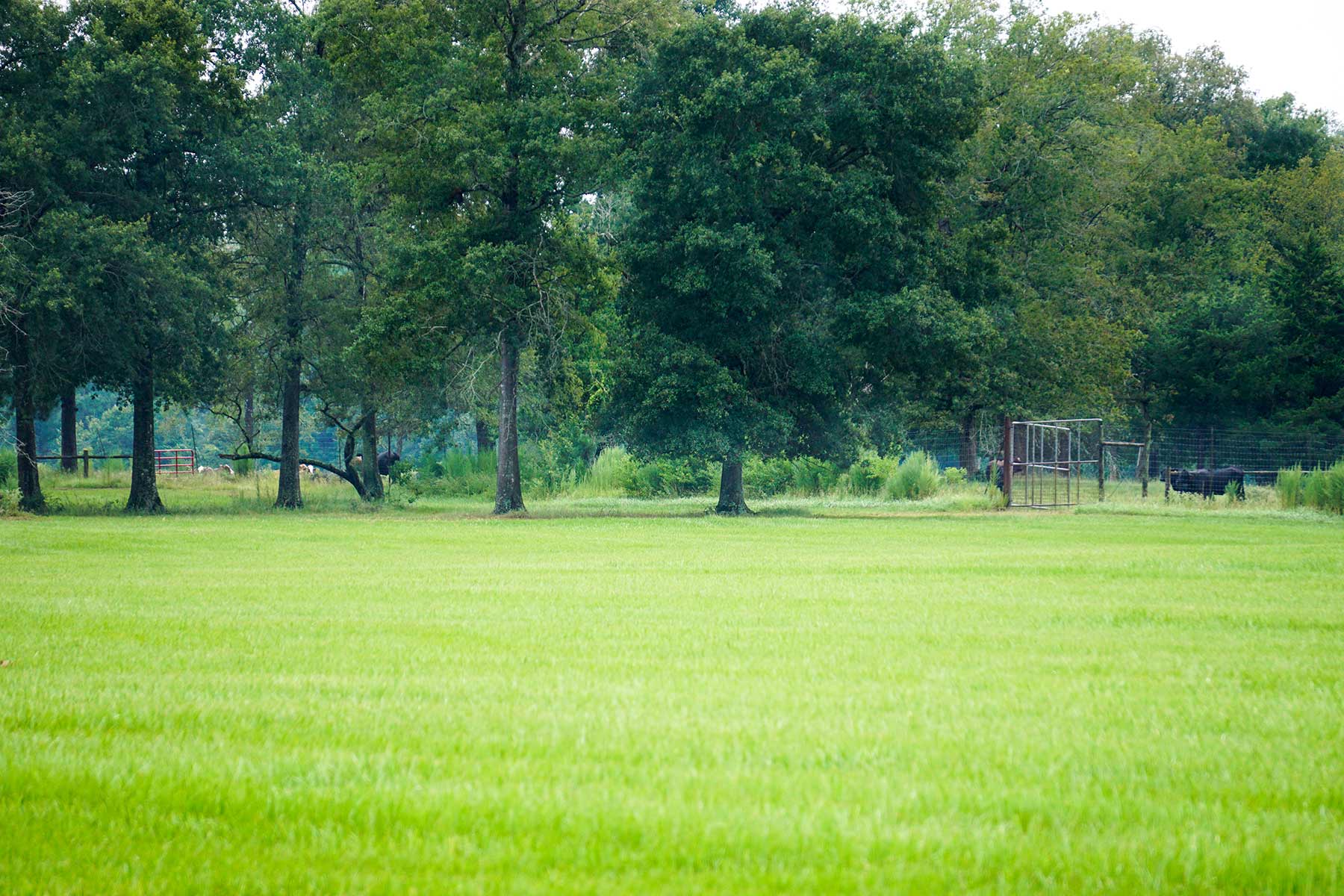 East Tempe Creek Ranch property picture 20 of 22