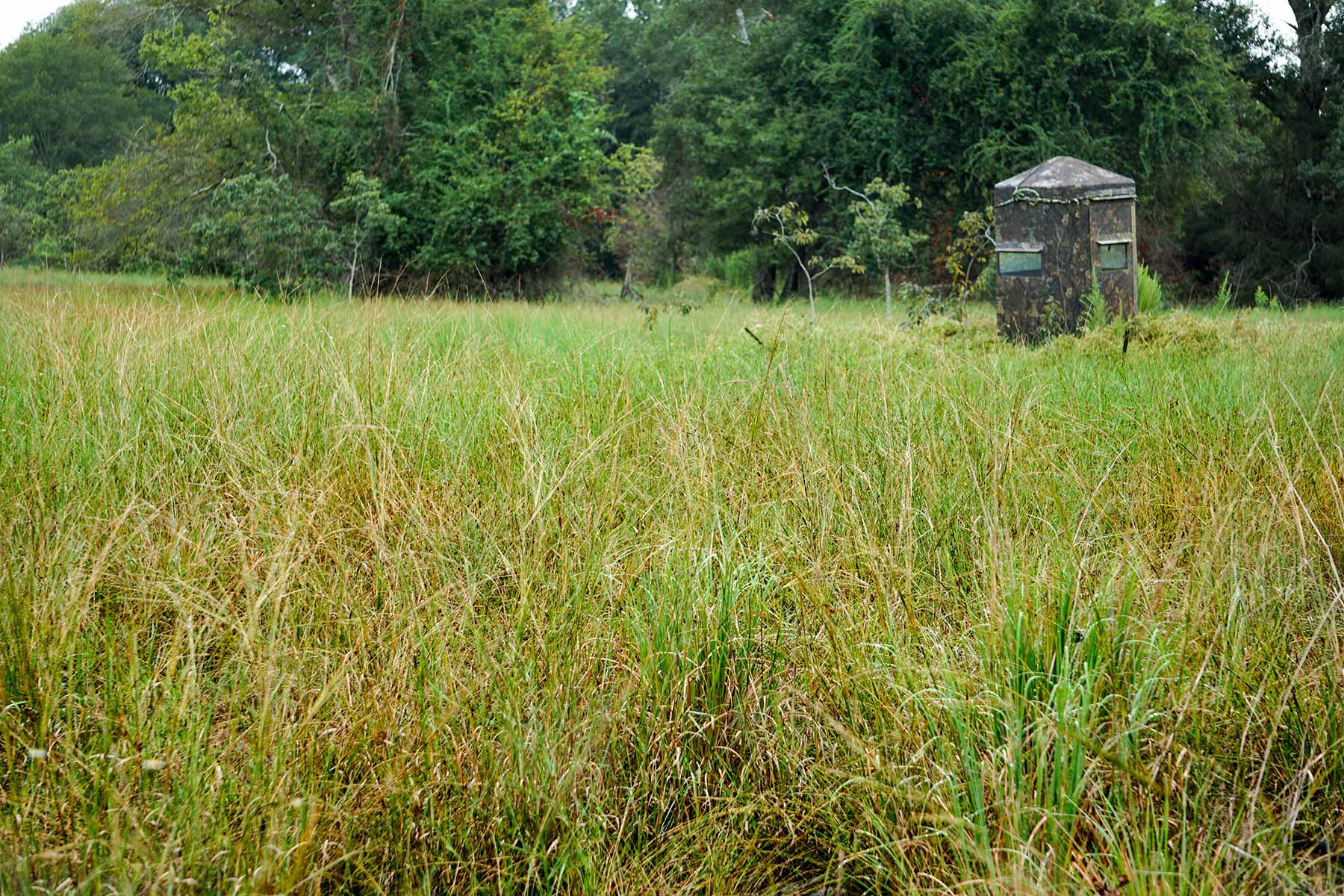 Pokey Camp Ranch property picture 4 of 40
