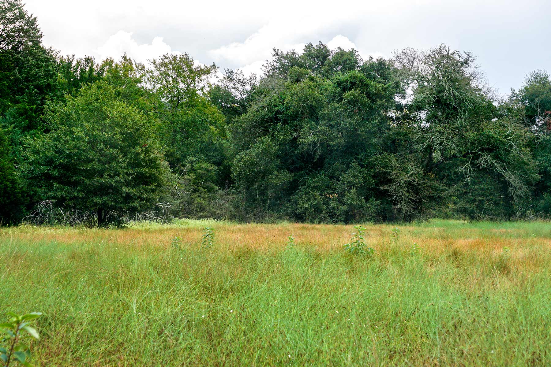 Pokey Camp Ranch property picture 5 of 40