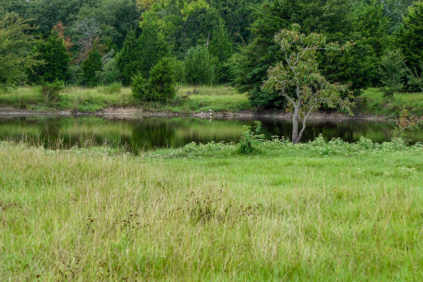 Pokey Camp Ranch property picture 6 of 40