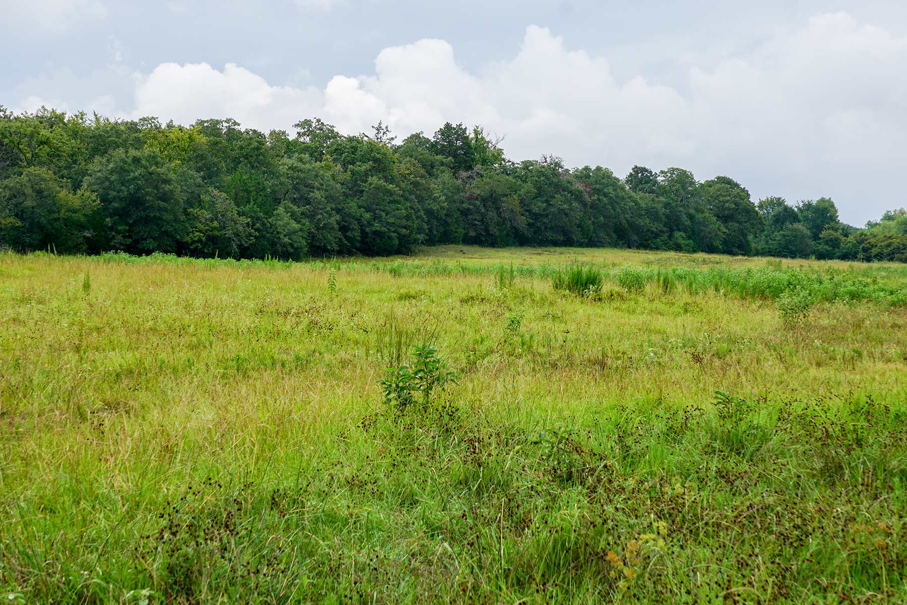 Pokey Camp Ranch property picture 8 of 40
