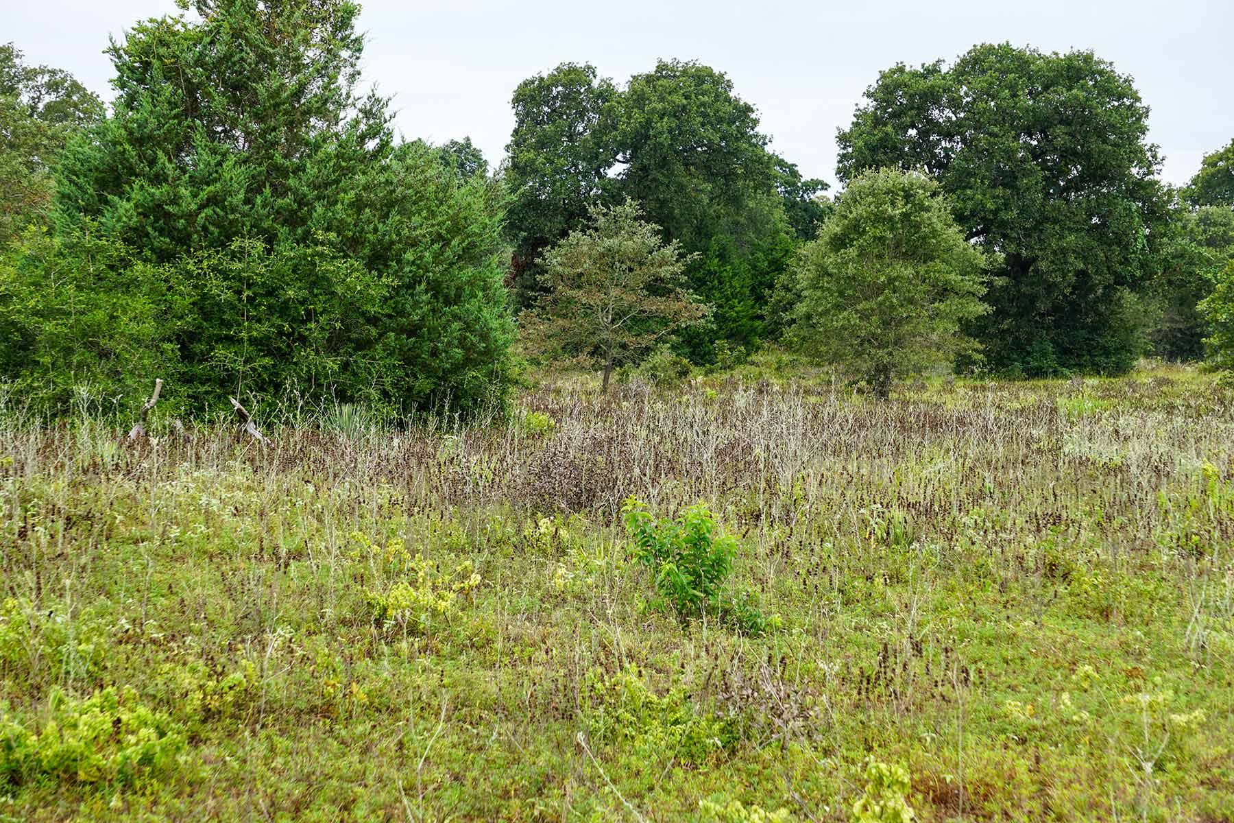 Pokey Camp Ranch property picture 9 of 40