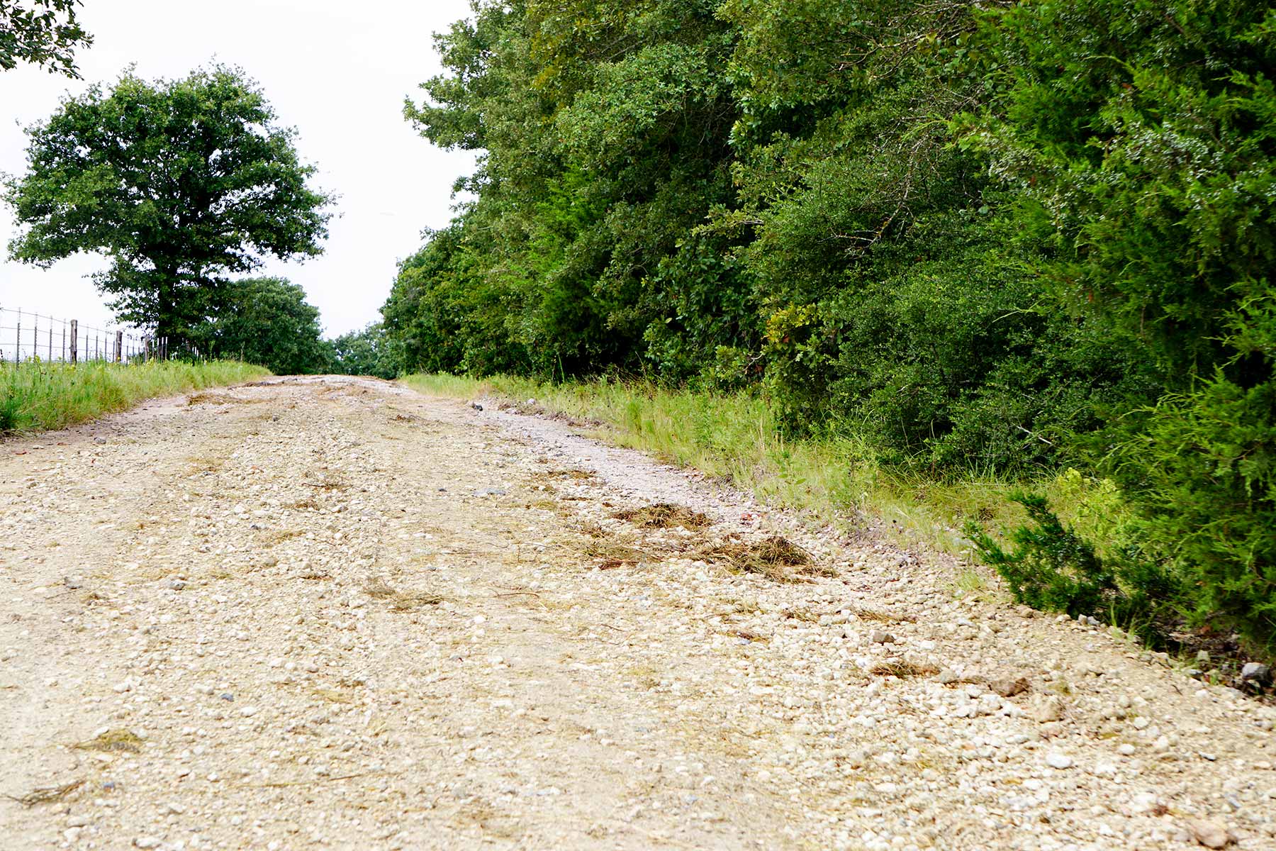 Pokey Camp Ranch property picture 10 of 40