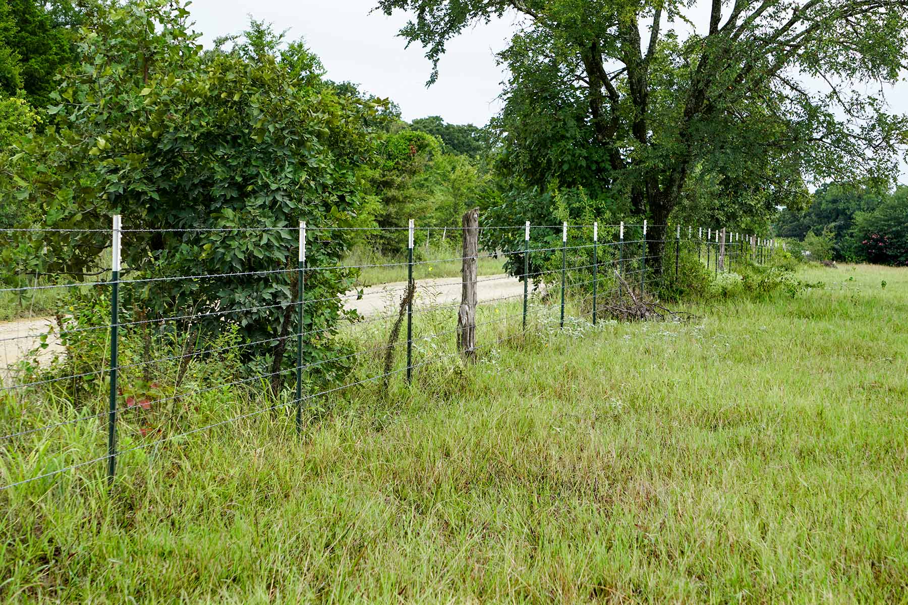 Pokey Camp Ranch property picture 11 of 40