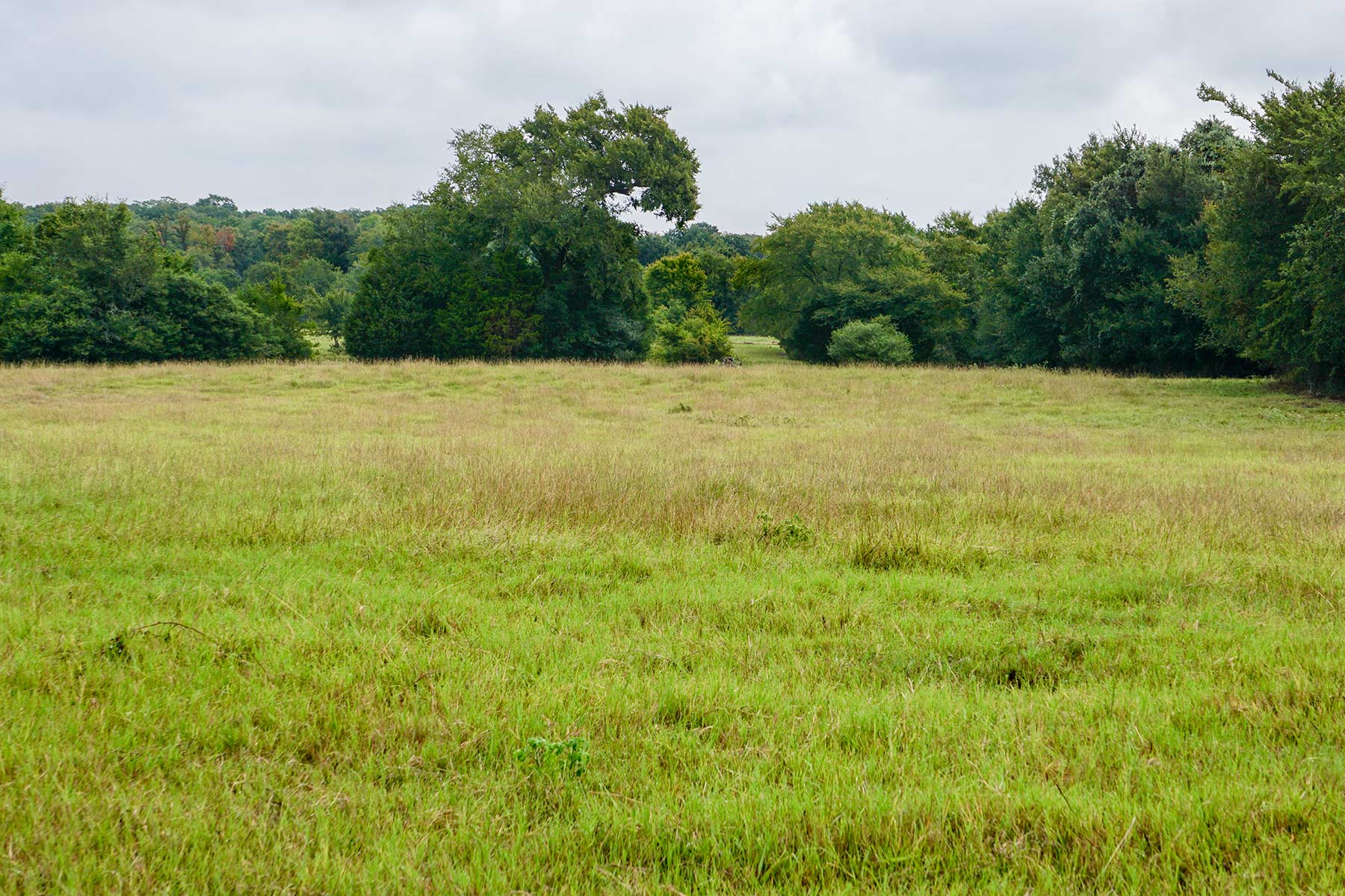 Pokey Camp Ranch property picture 12 of 40
