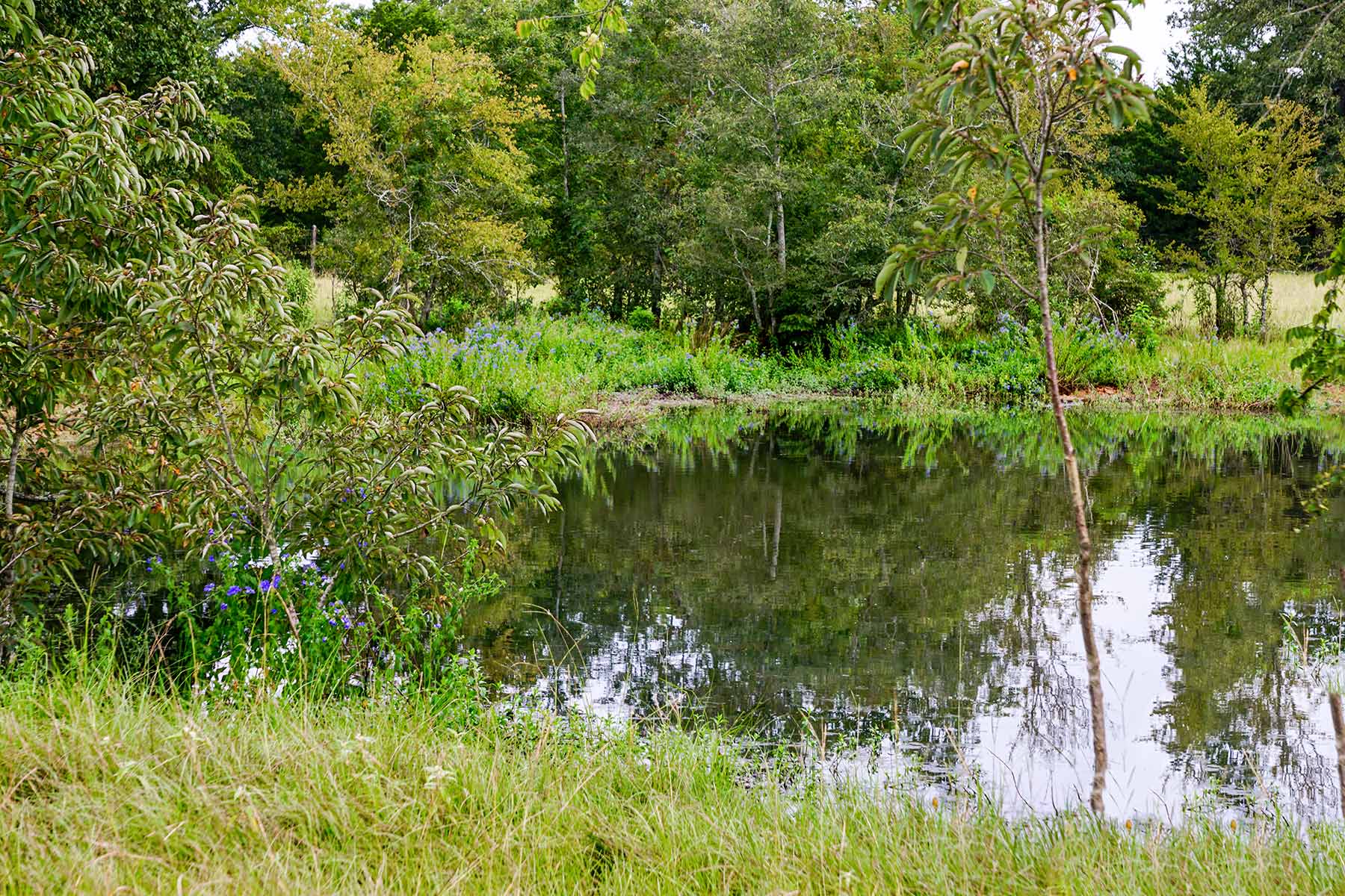 Pokey Camp Ranch property picture 13 of 40