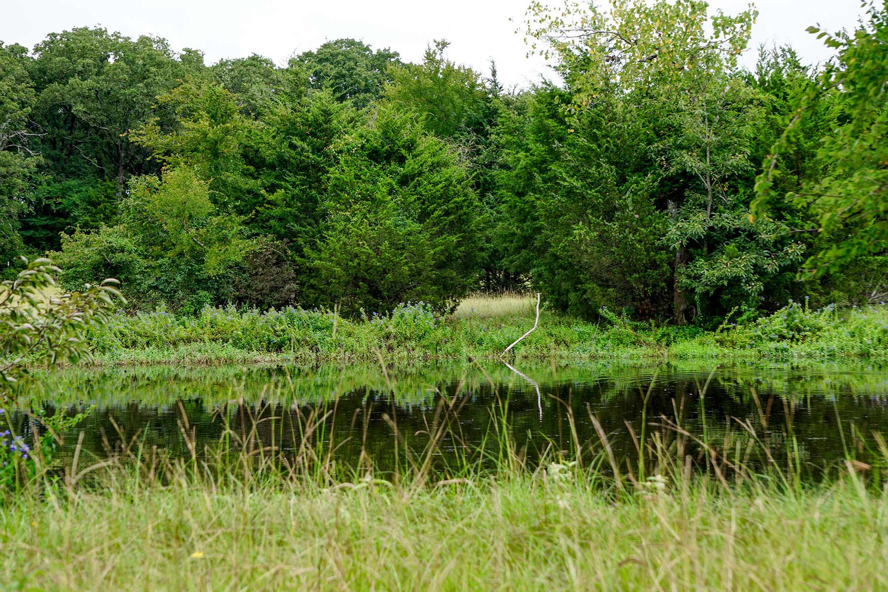 Pokey Camp Ranch property picture 14 of 40