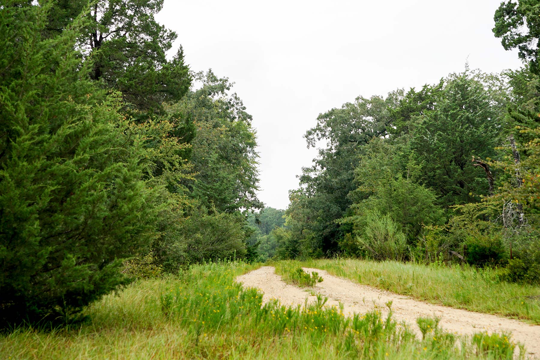 Pokey Camp Ranch property picture 16 of 40