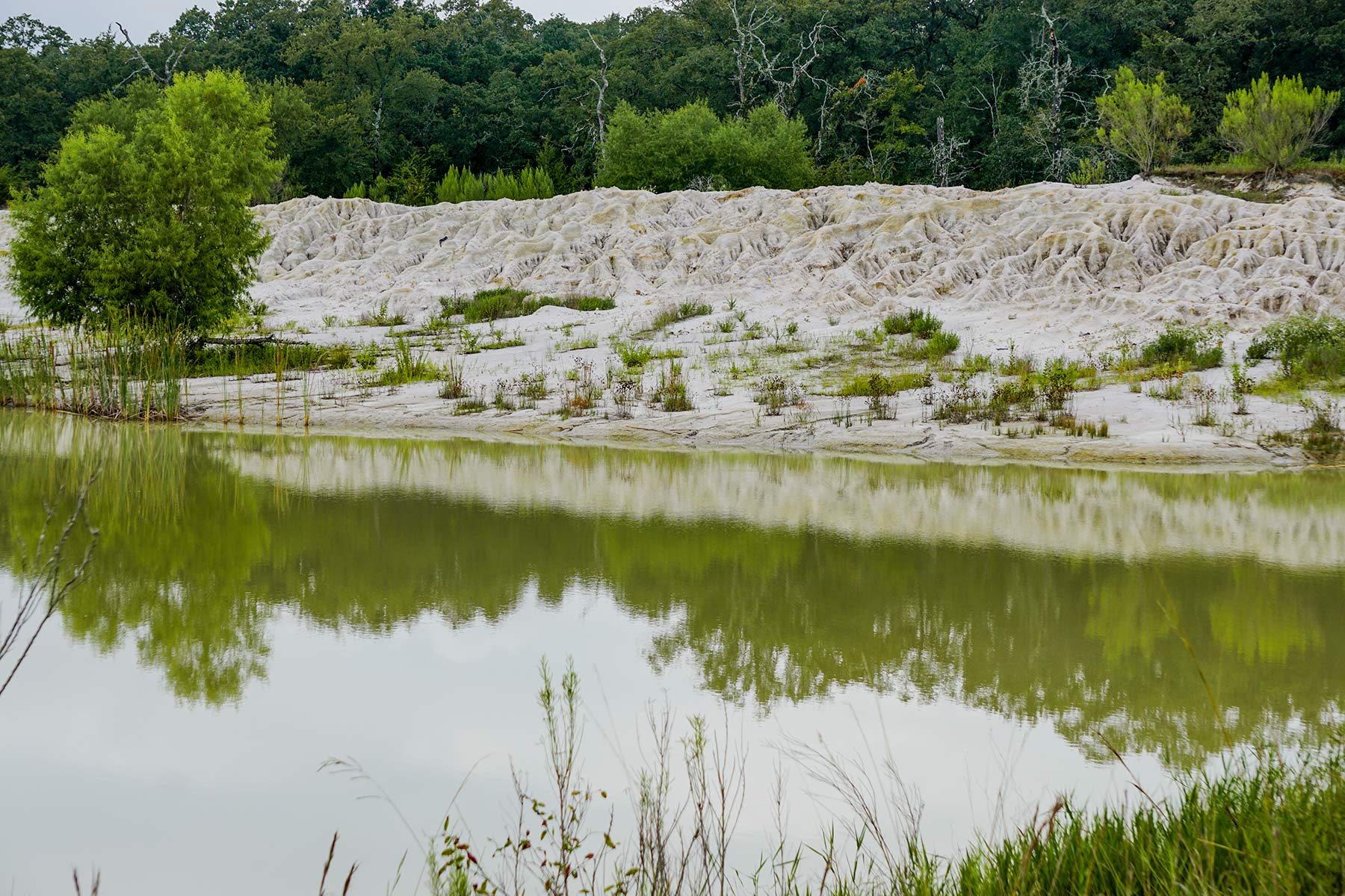 Pokey Camp Ranch property picture 17 of 40