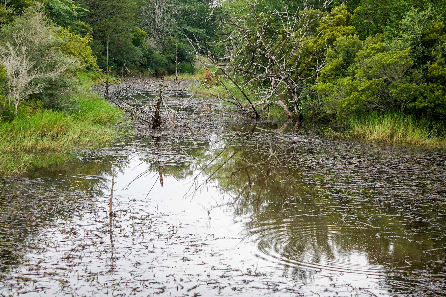 Pokey Camp Ranch property picture 18 of 40