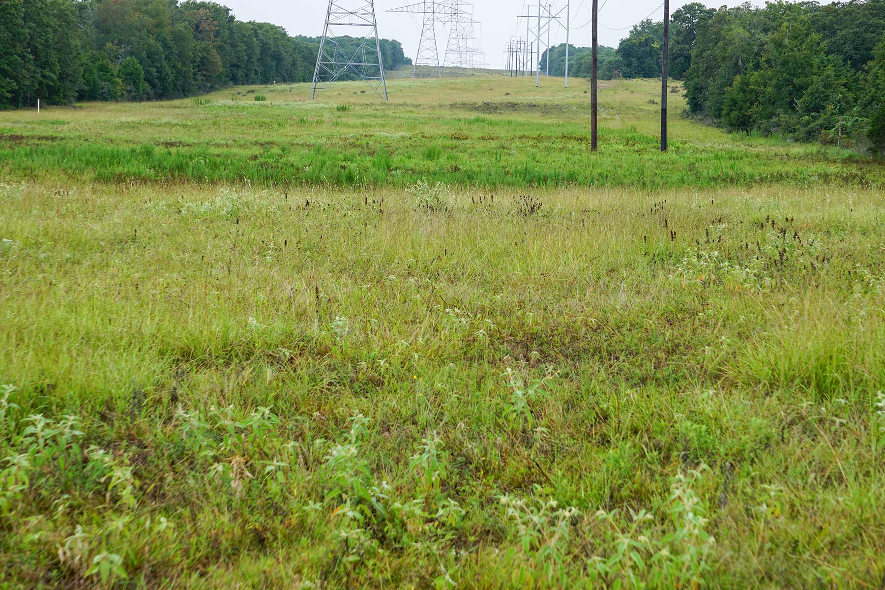 Pokey Camp Ranch property picture 20 of 40