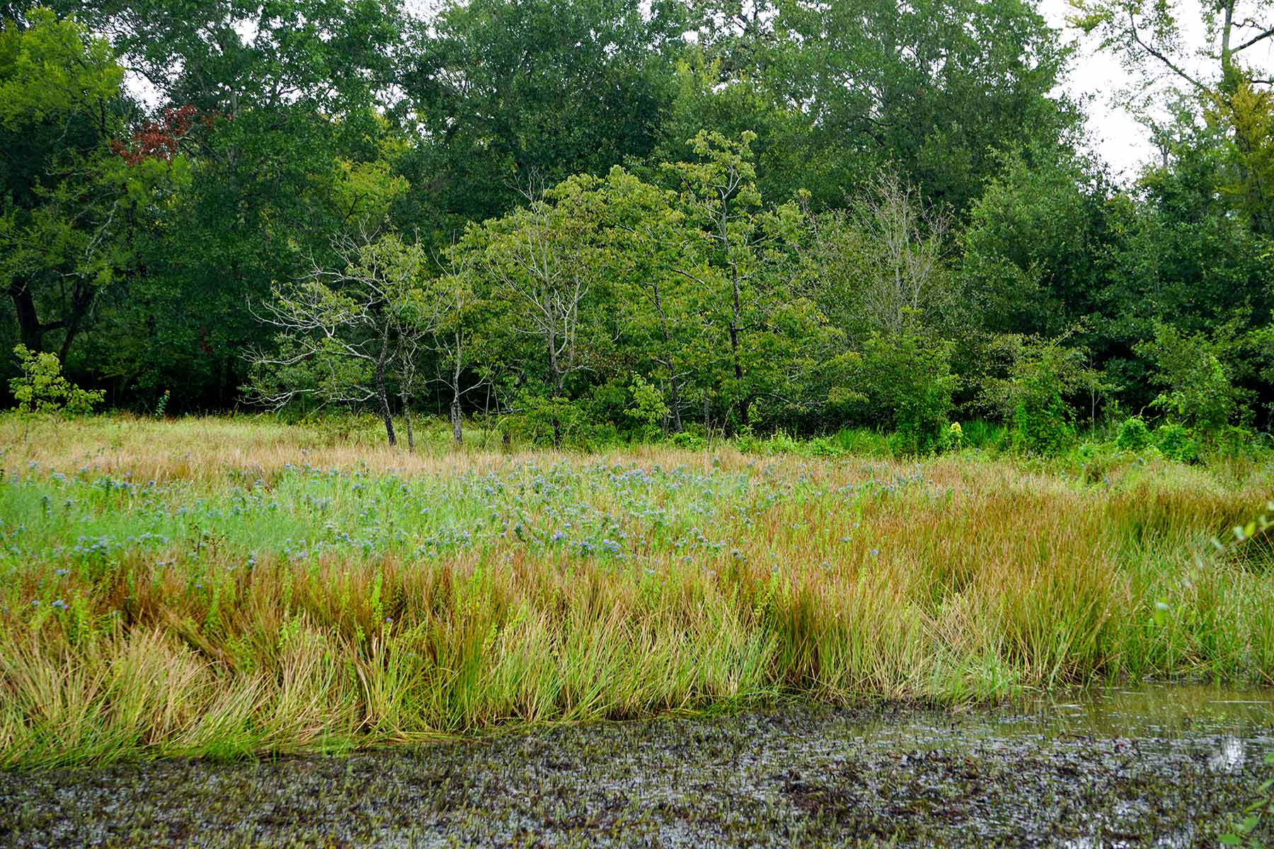 Pokey Camp Ranch property picture 21 of 40