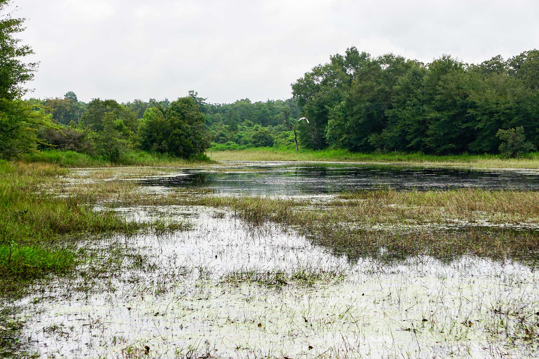 Pokey Camp Ranch property picture 23 of 40