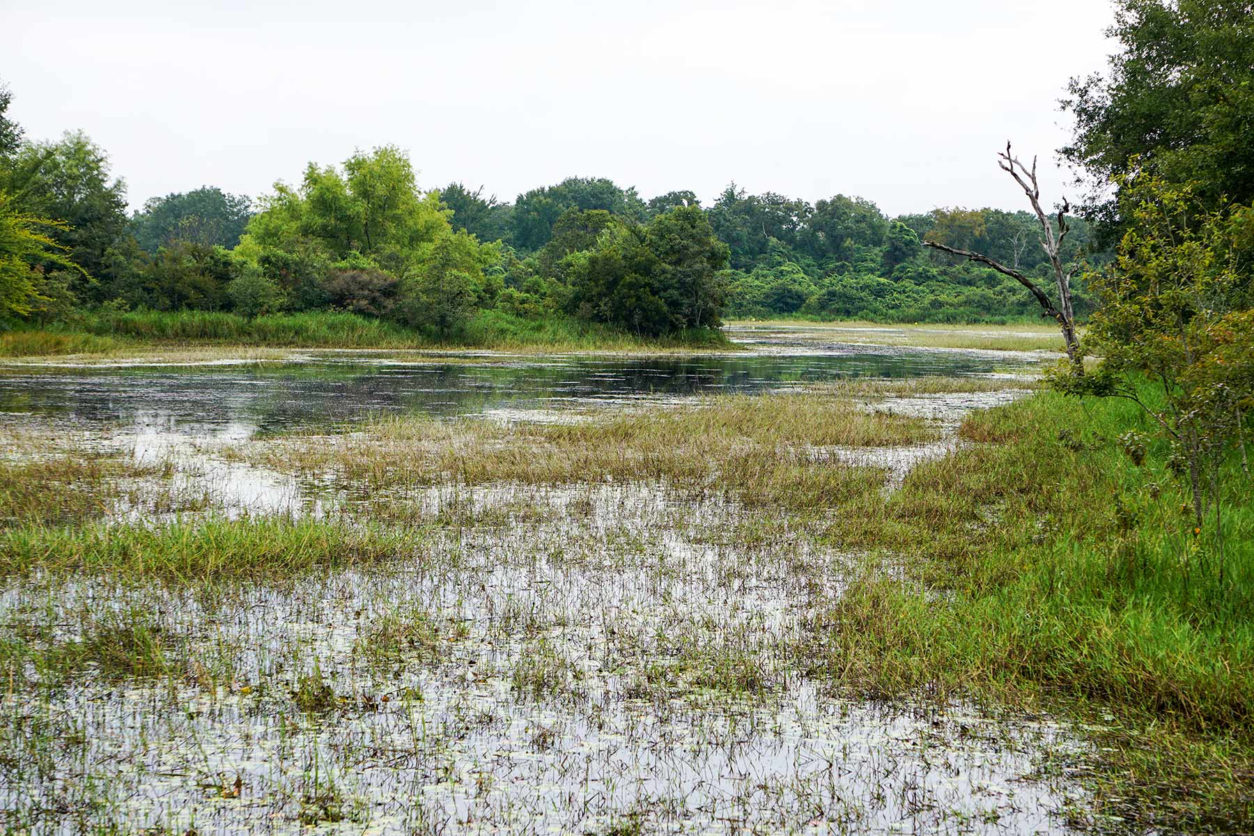Pokey Camp Ranch property picture 24 of 40