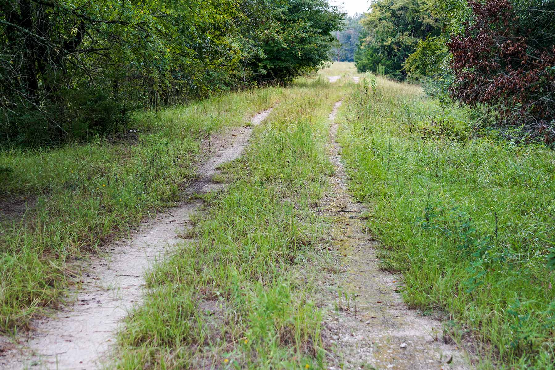 Pokey Camp Ranch property picture 25 of 40