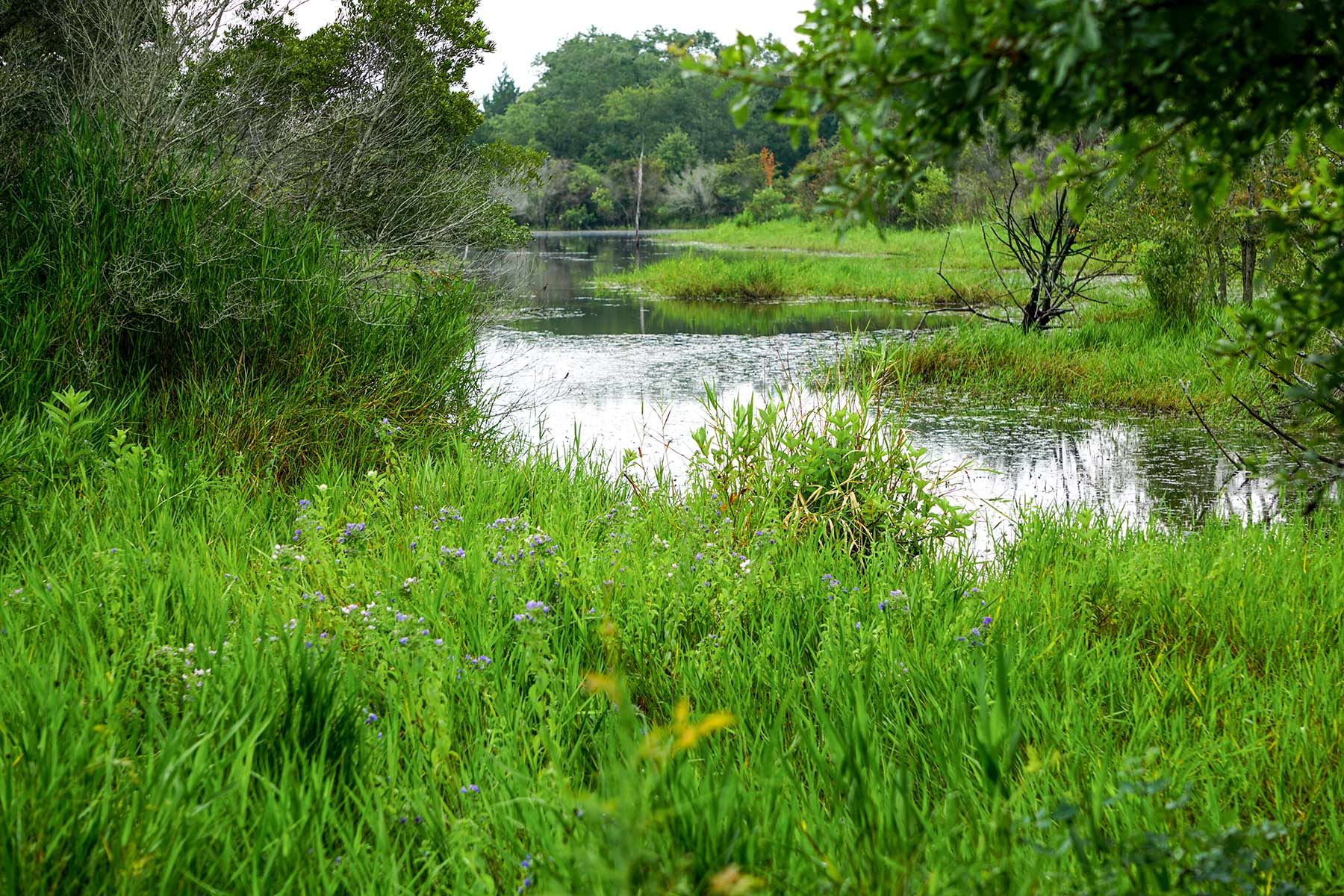 Pokey Camp Ranch property picture 26 of 40