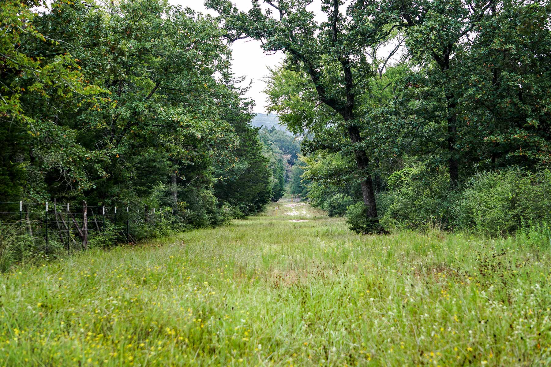Pokey Camp Ranch property picture 28 of 40