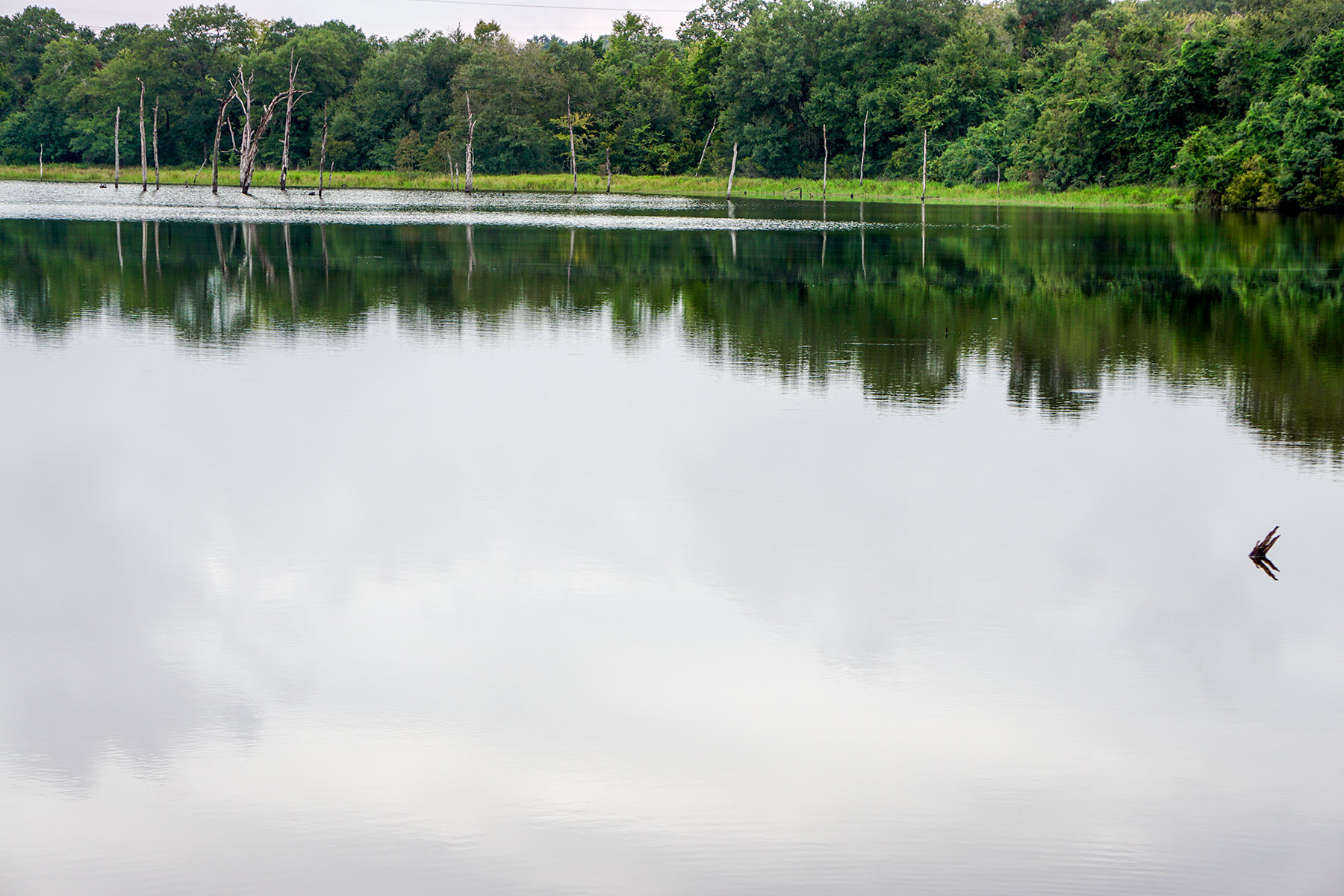 Pokey Camp Ranch property picture 29 of 40